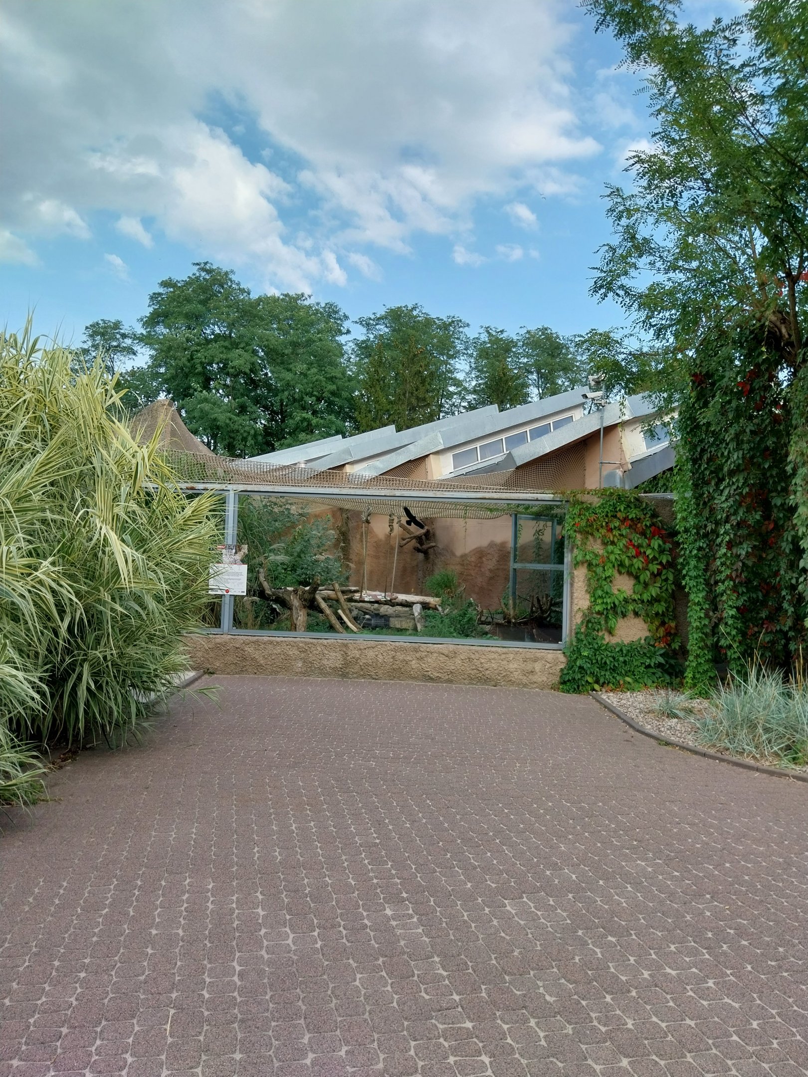 Fishing Cat (Prionailurus viverrinus) enclosure 2