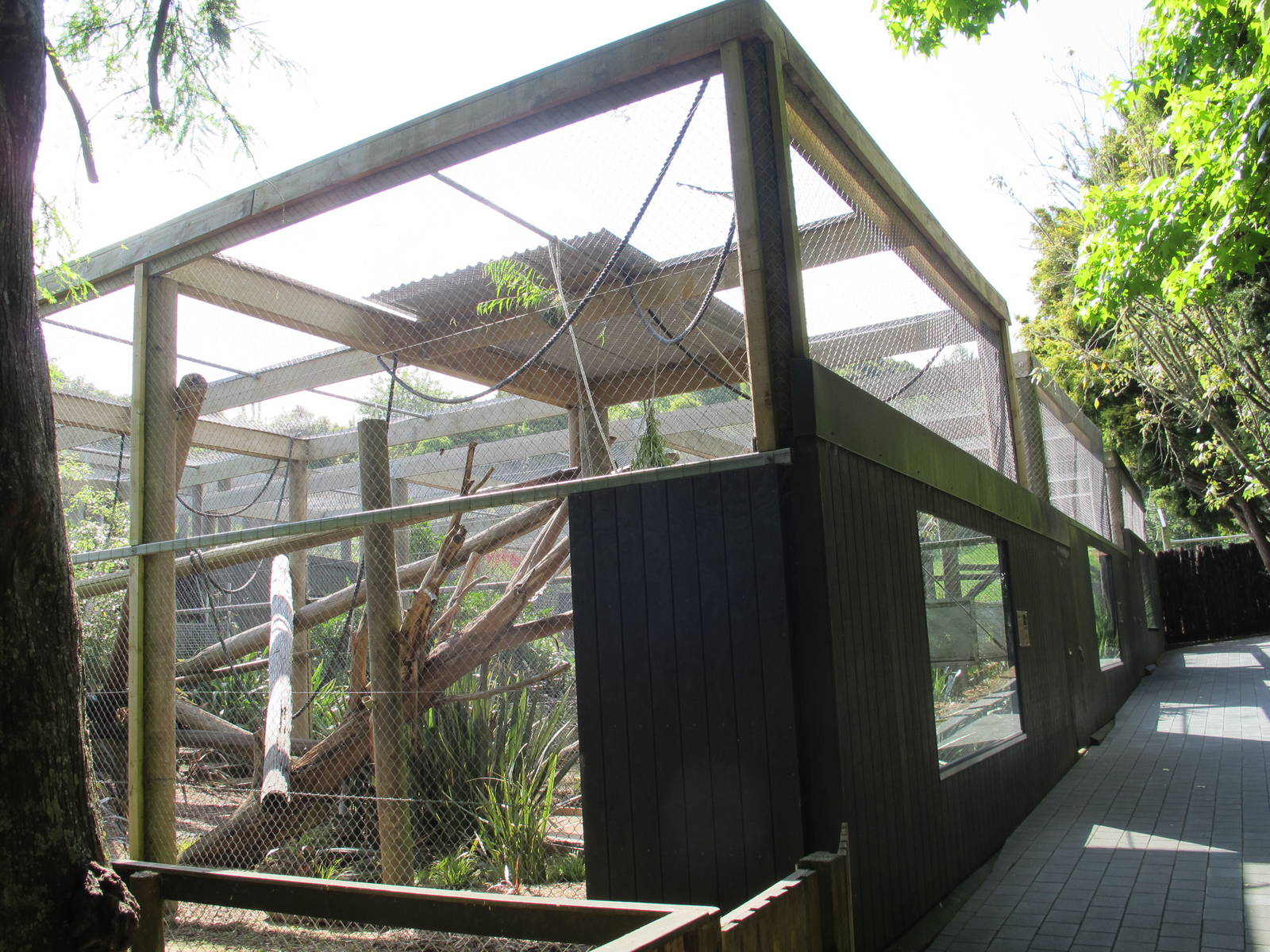 Fishing Cat & Siamang Cages - Hamilton Zoo 2012