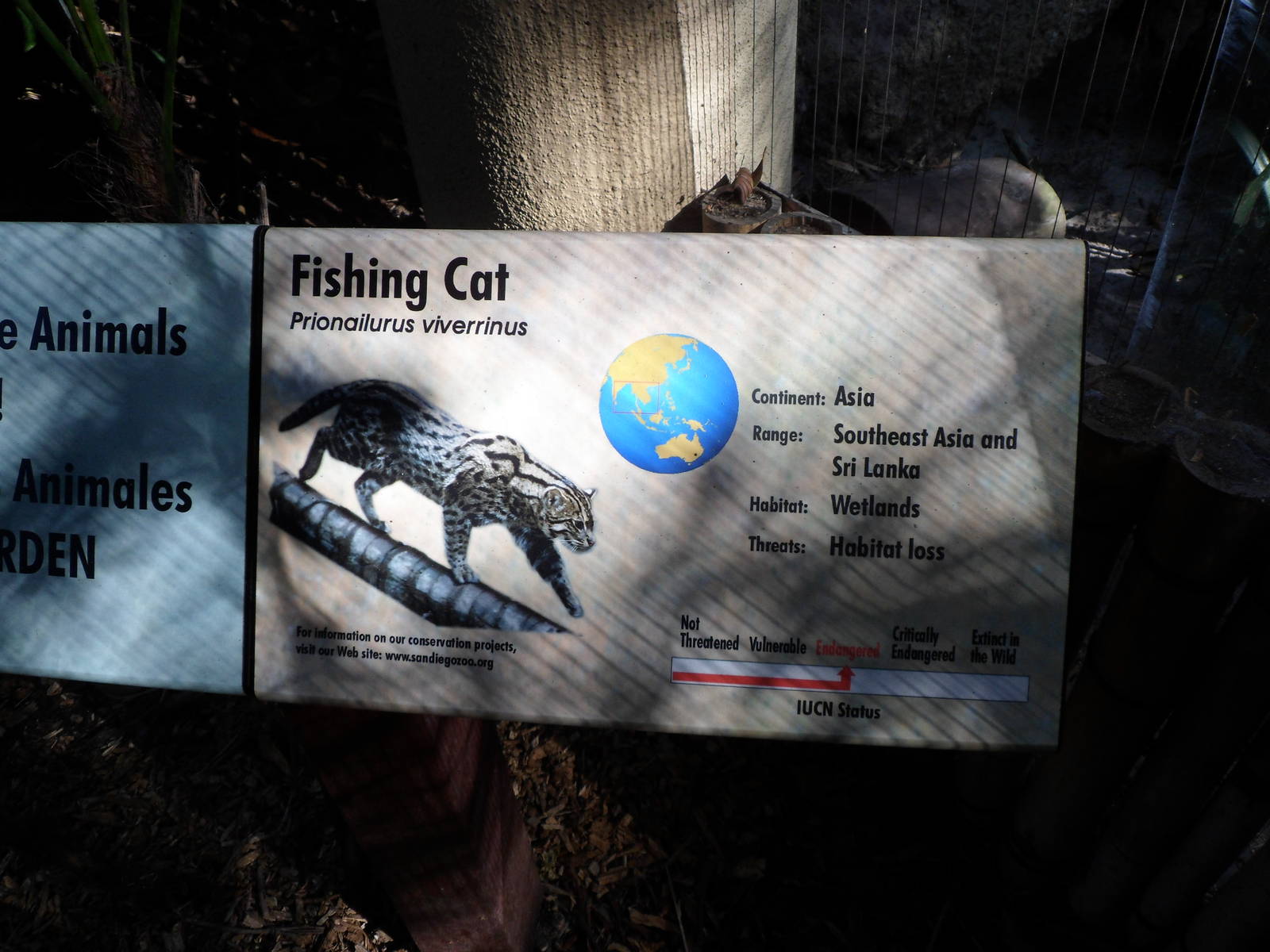 Fishing Cat Sign