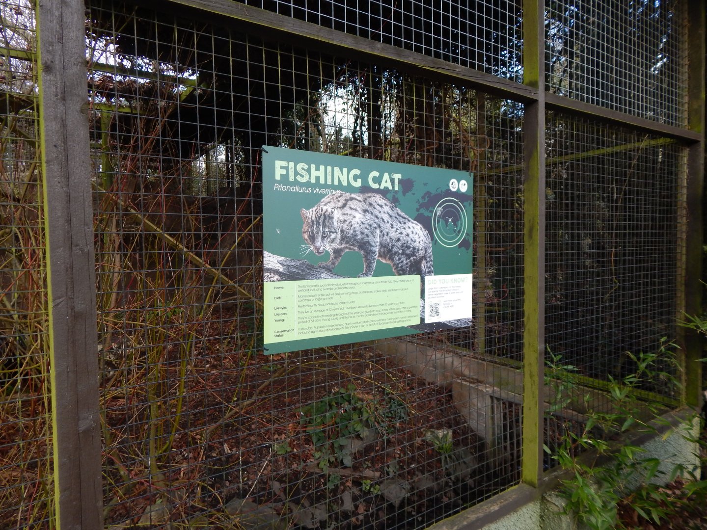 Fishing cat signage 040324
