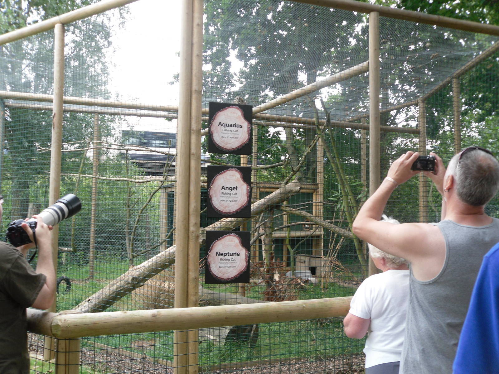 Fishing Cat Temporary Exhibit