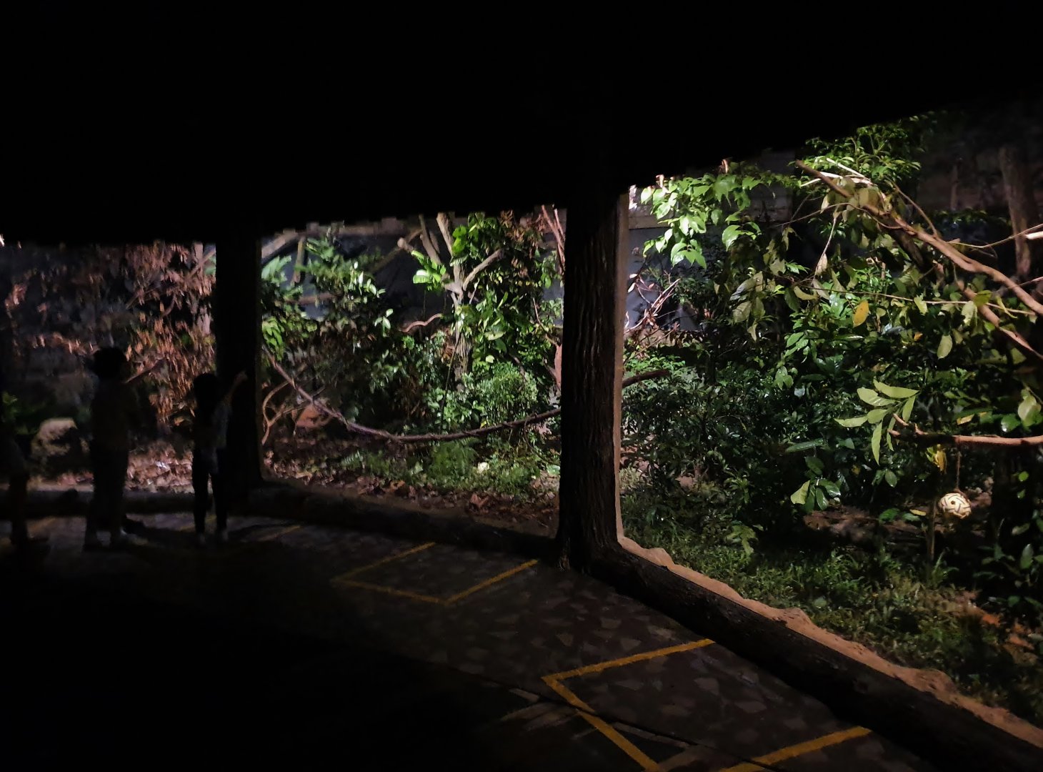 Fishing Cat Trail - Common Palm Civet and Sunda Pangolin exhibit