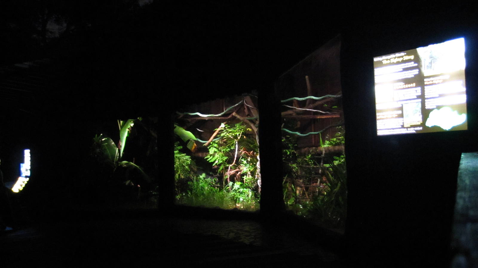 Fishing Cat Trail - Common Palm Civet exhibit