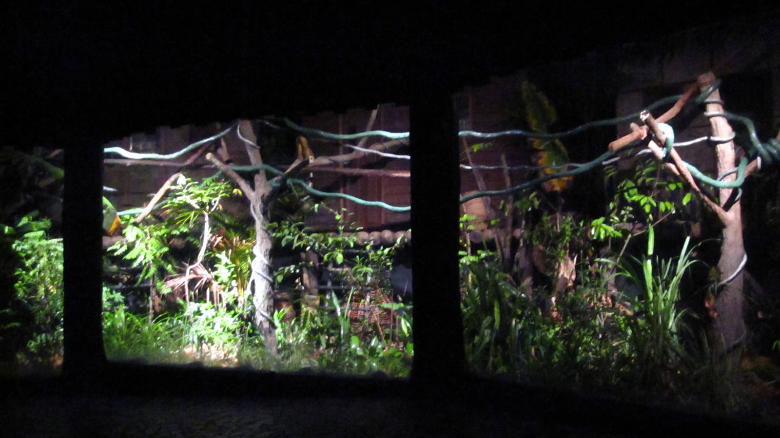 Fishing Cat Trail - Common Palm Civet exhibit