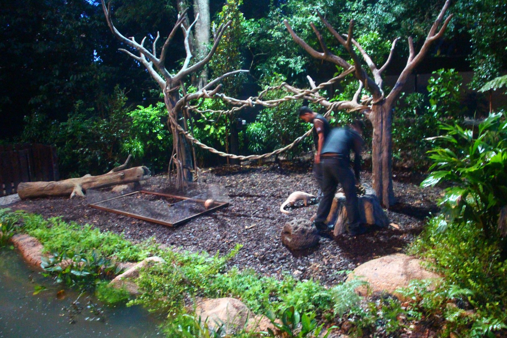 Fishing Cat Trail - Explorer Outpost