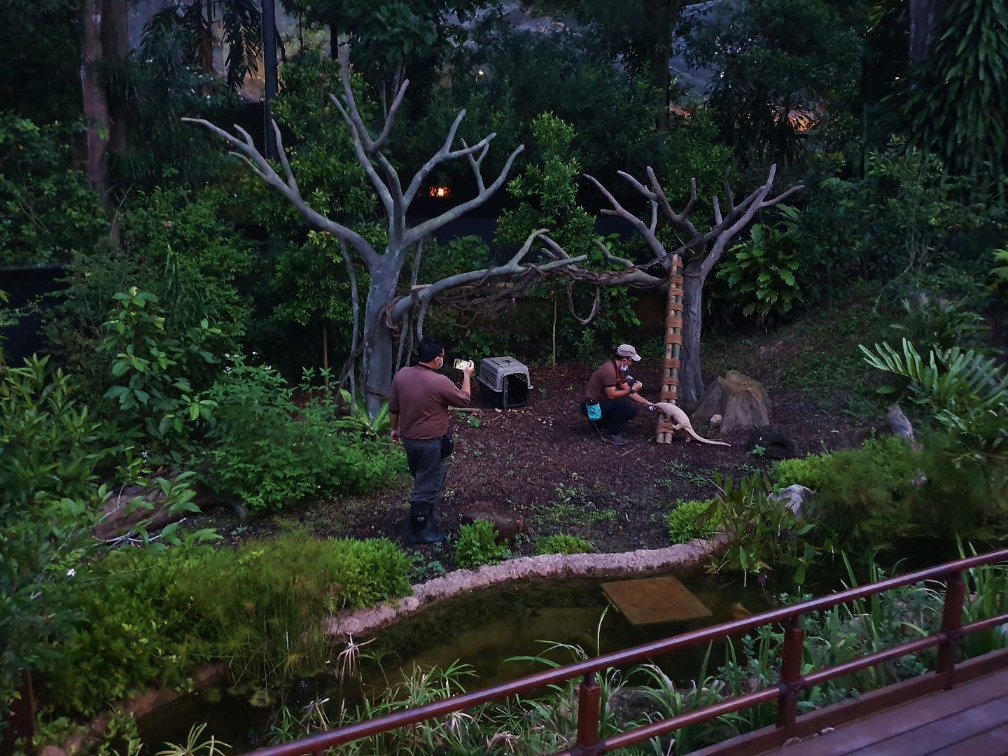 Fishing Cat Trail - Explorer Outpost