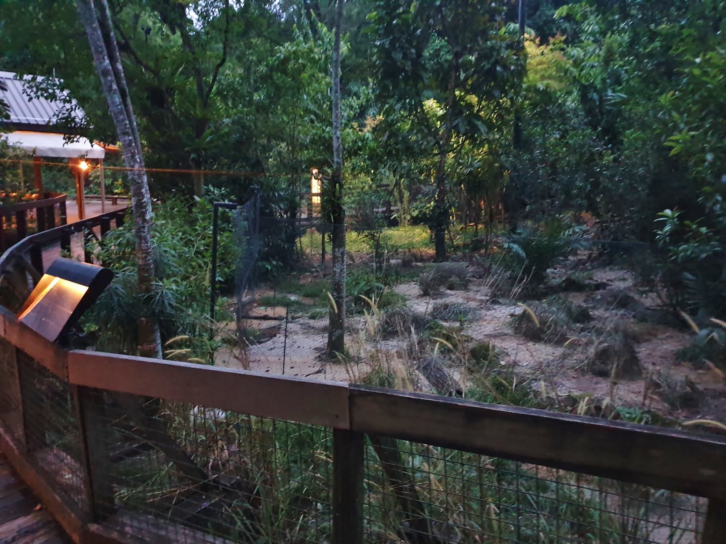 Fishing Cat Trail - Maned Wolf exhibit (opening soon)