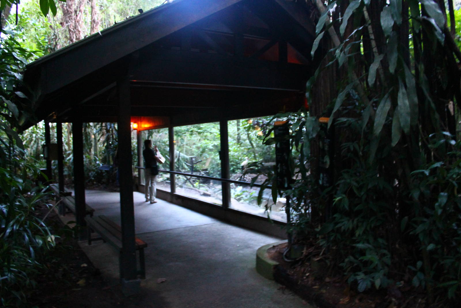 Fishing Cat Trail - Marshbirds Aviary