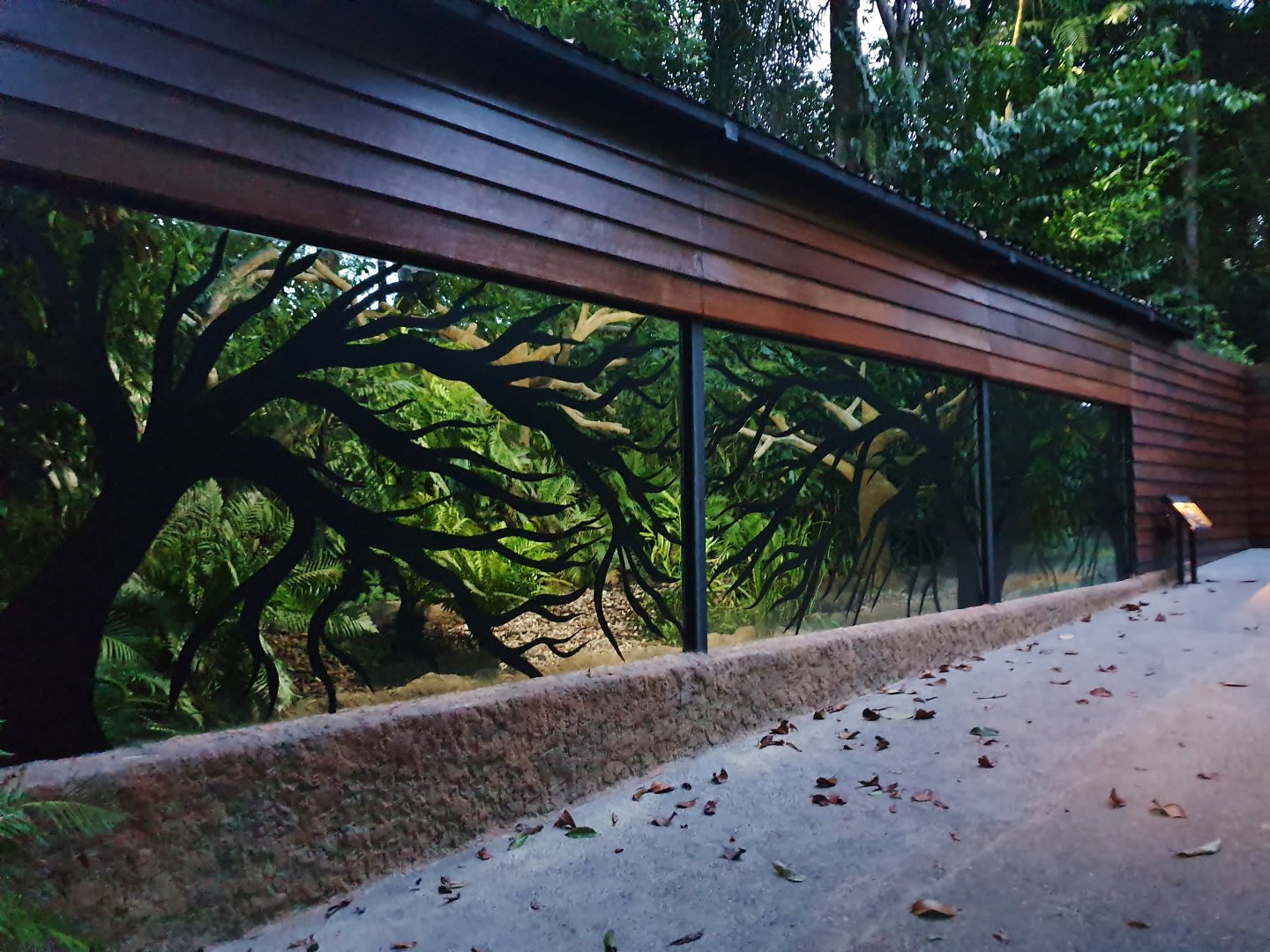 Fishing Cat Trail - Spectacled Owl aviary