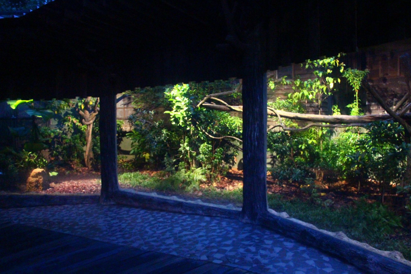 Fishing Cat Trail - Sumatran Palm Civet and Sunda Pangolin exhibit