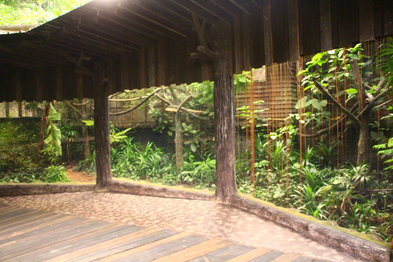 Fishing Cat Trail - Sumatran Palm Civet exhibit