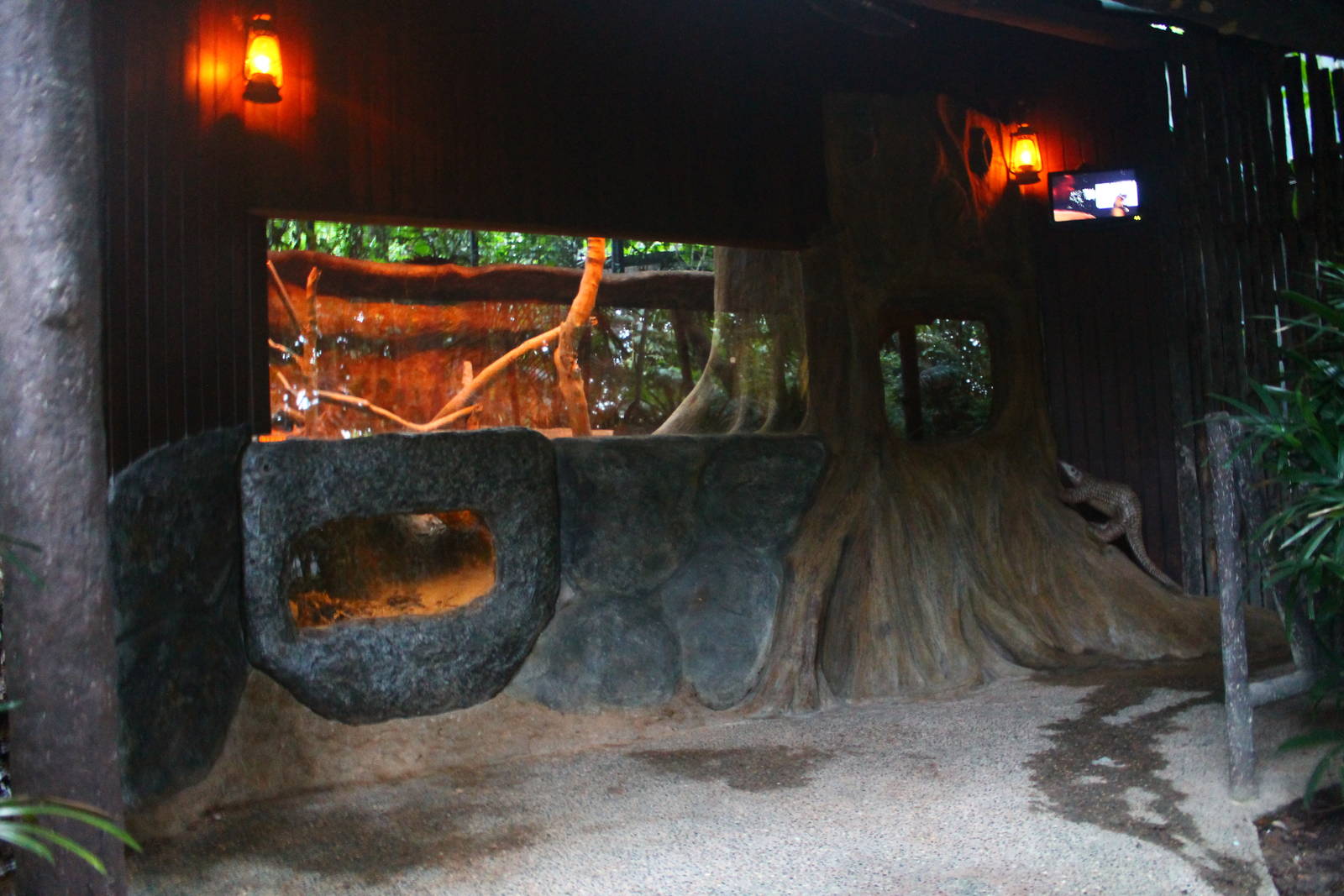 Fishing Cat Trail - Sunda Pangolin exhibit