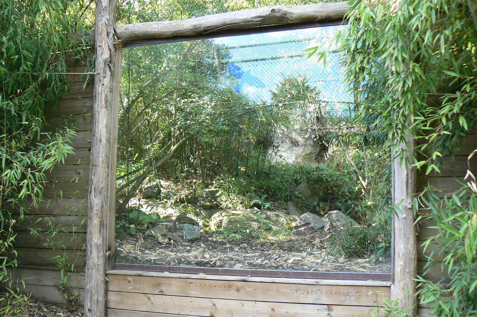Fishing cats exhibit