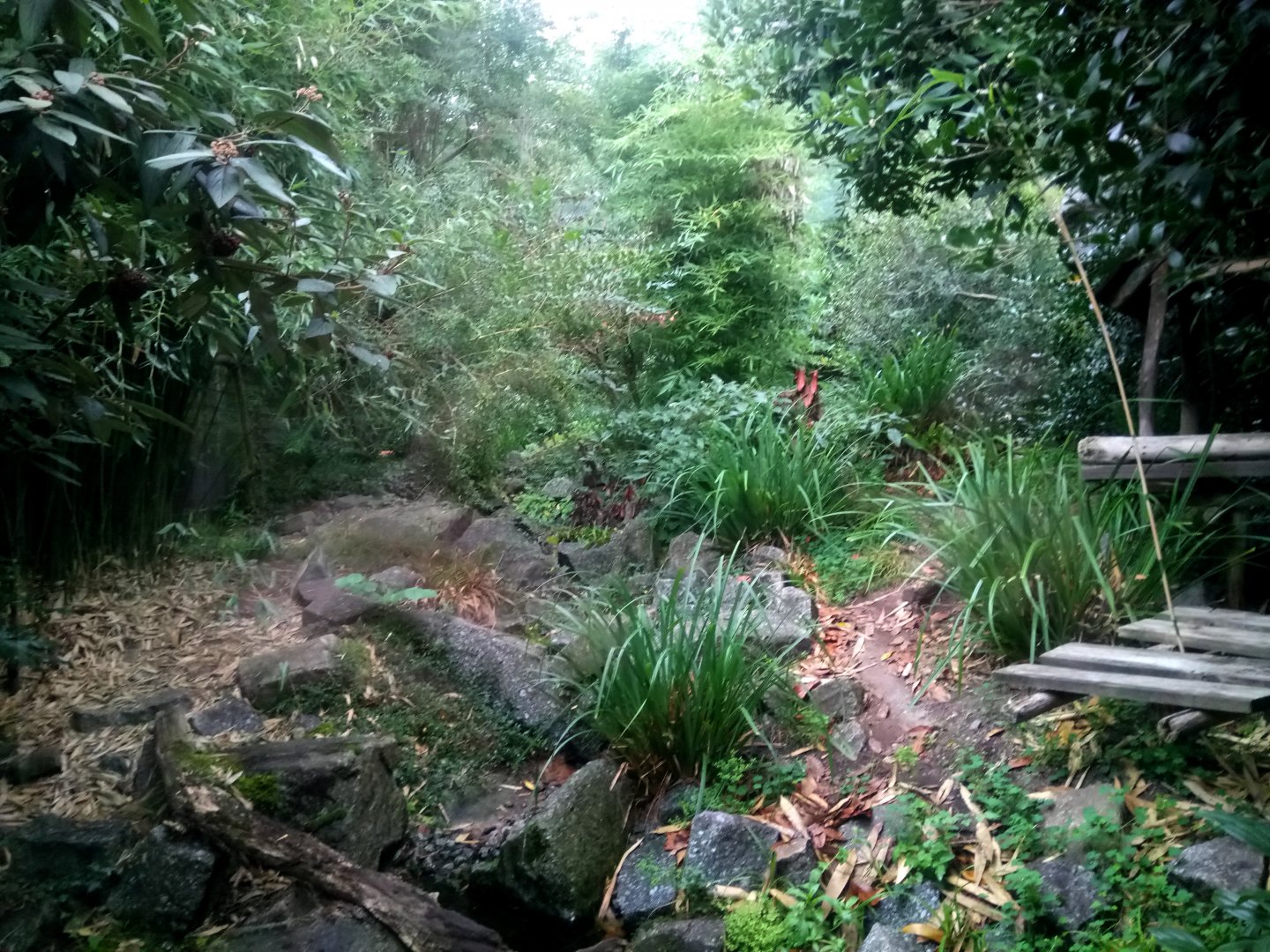 Fishing Cats Exhibit