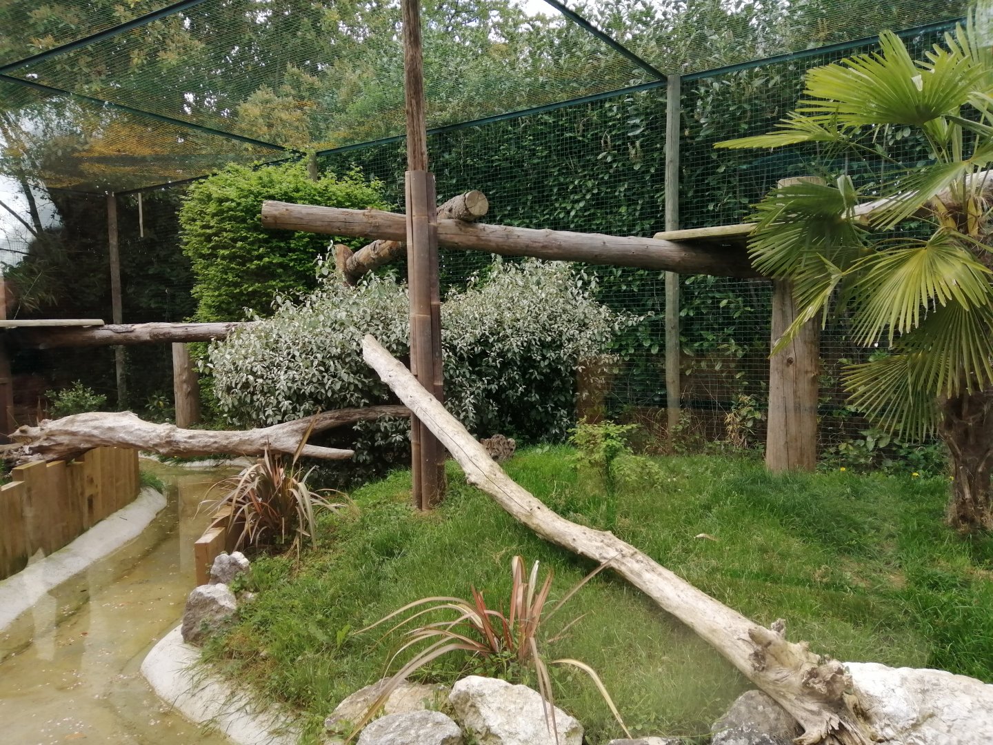 Fishing cats exhibit