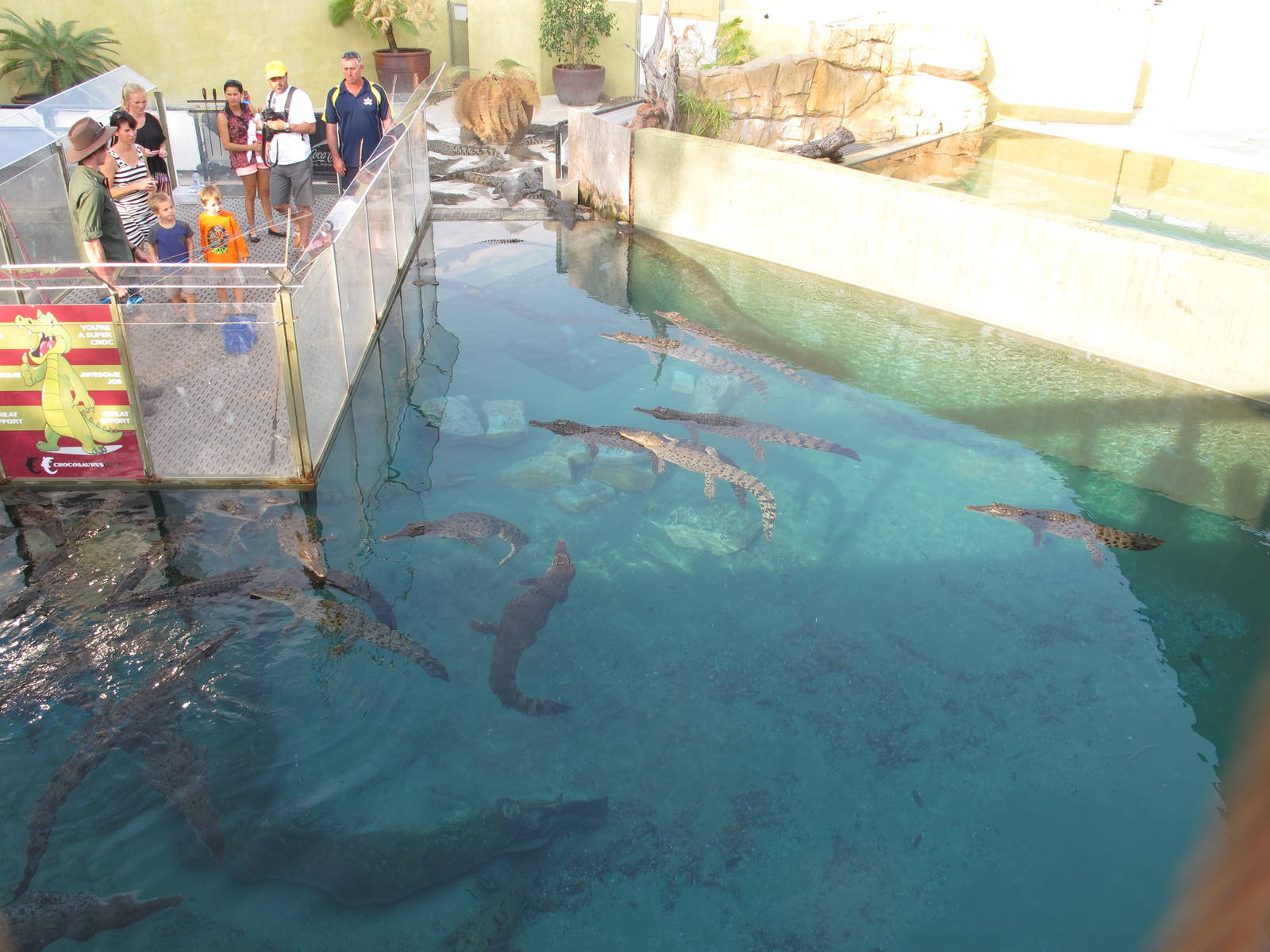 Fishing for Crocodiles - Crocosaurus Cove