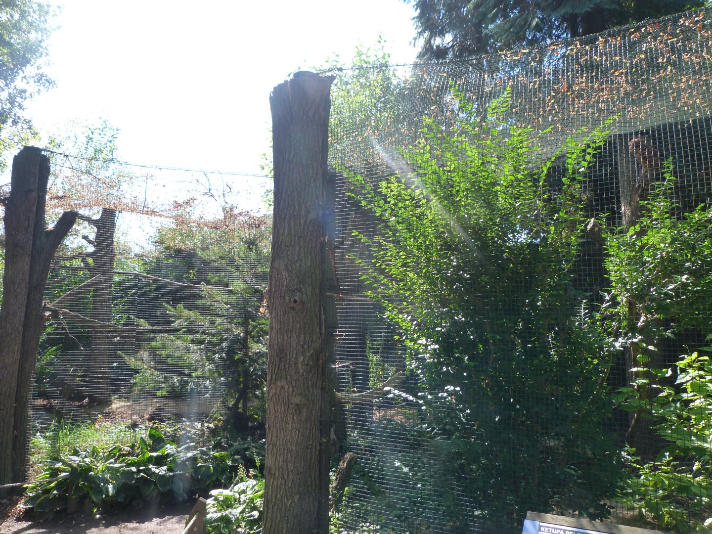Fishing owl aviaries -Zoo Praha (2025)