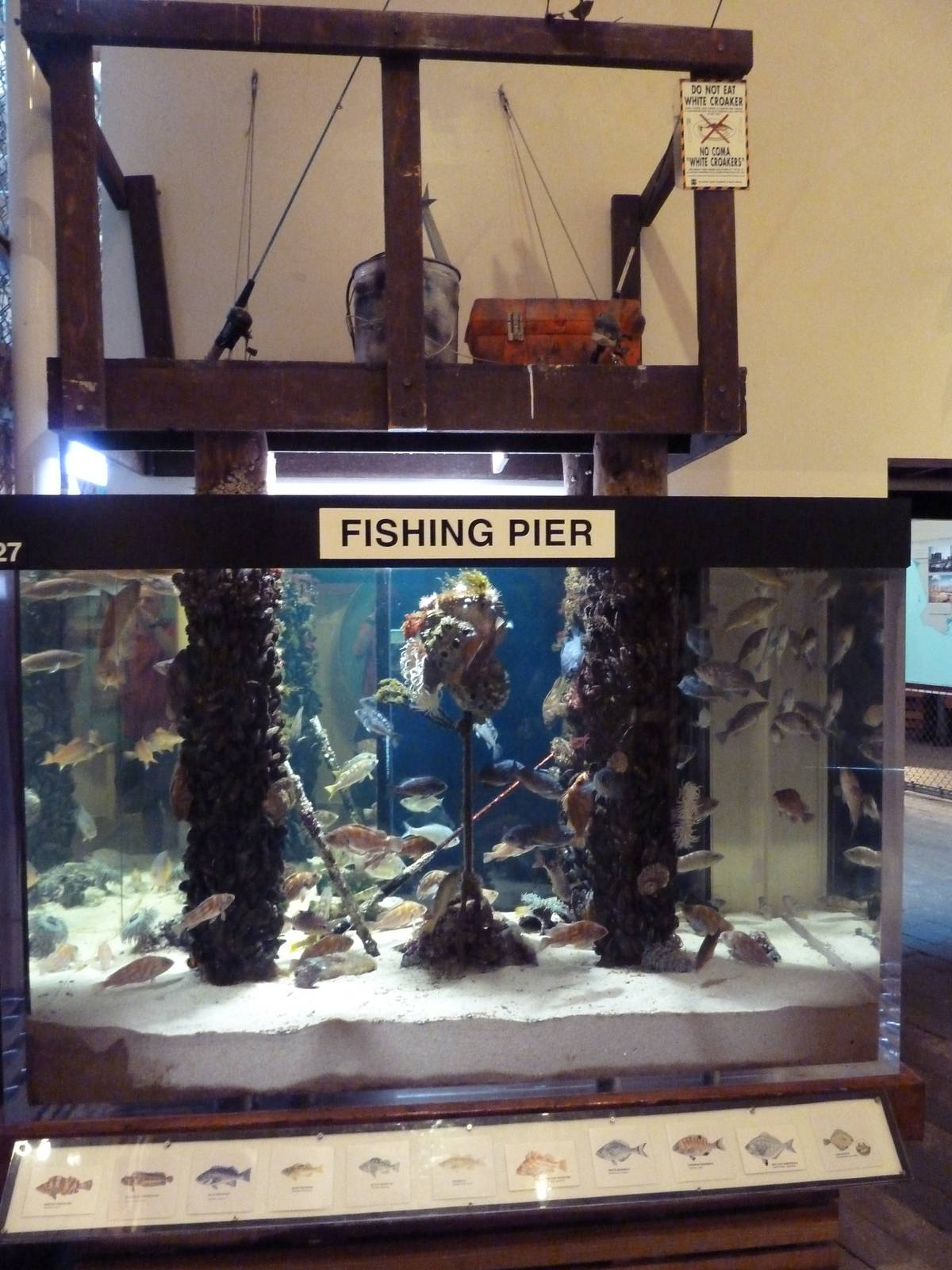 Fishing Pier Exhibit