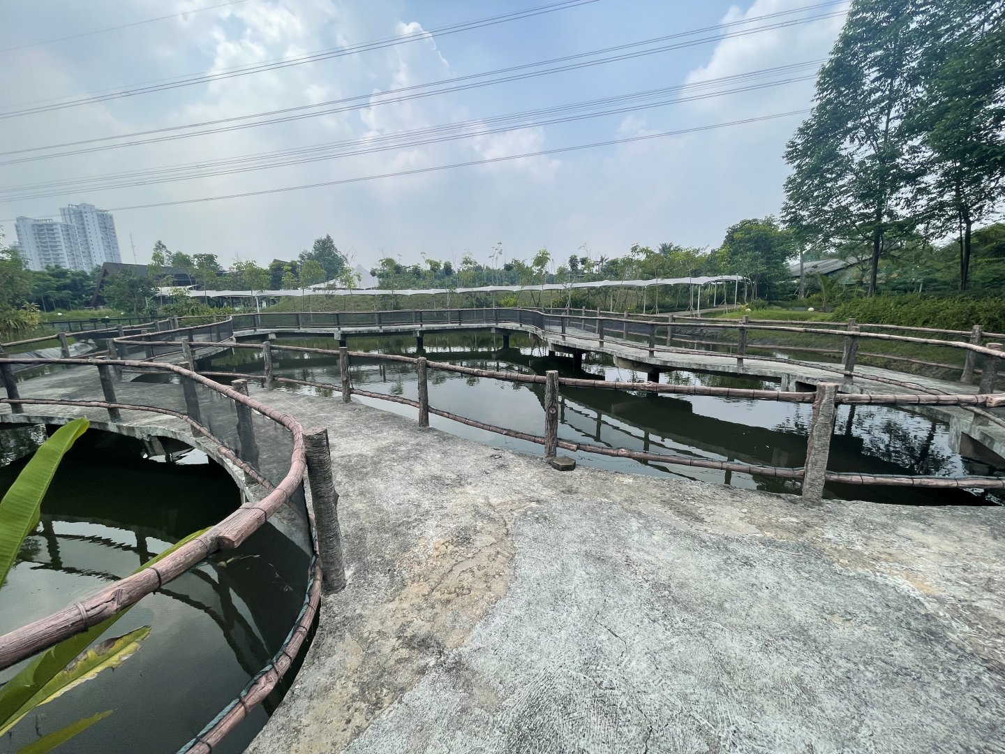 fishing pond - aviary park