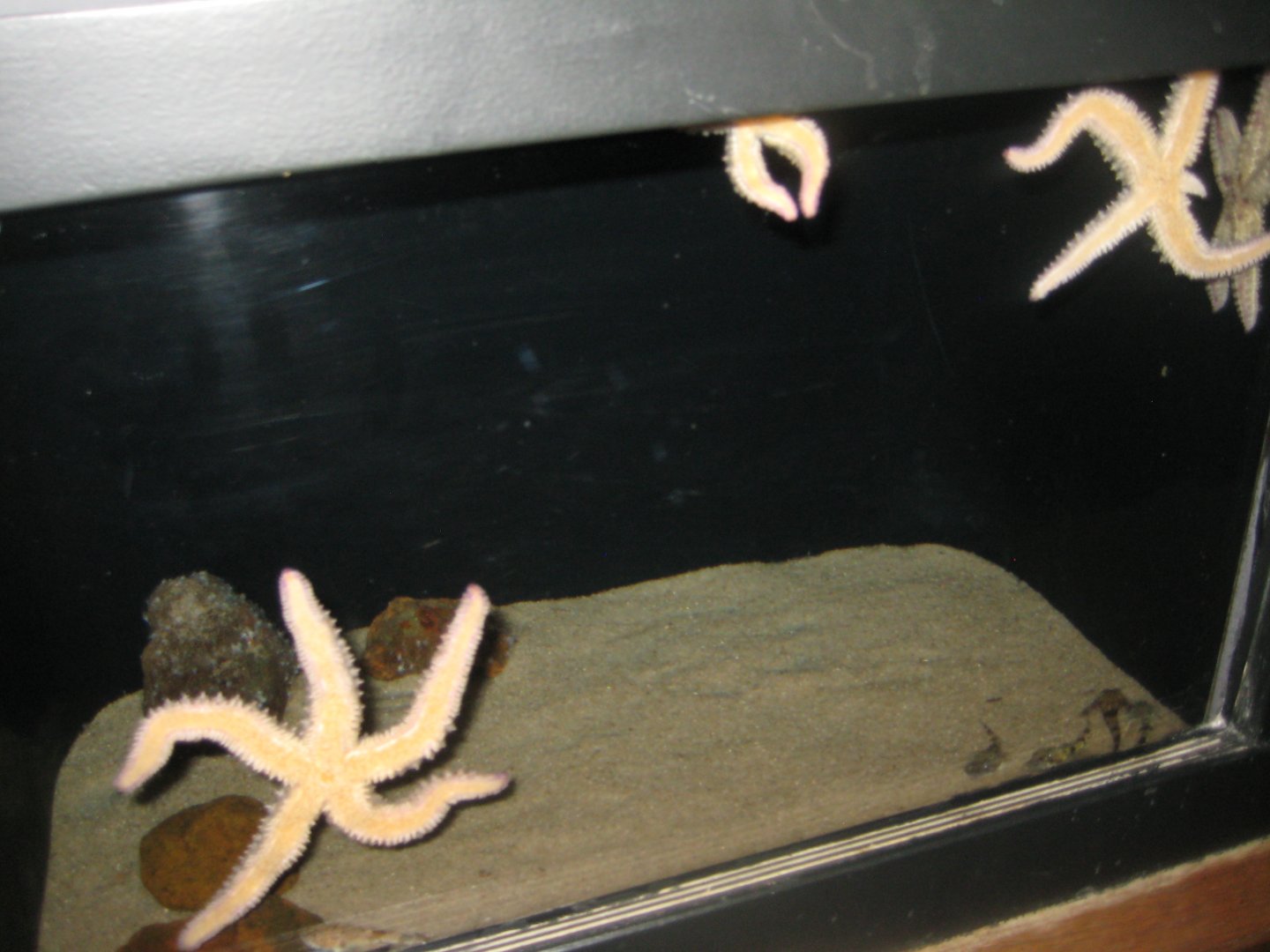 Fiskeri- og Søfartsmuseet - Mixed tank