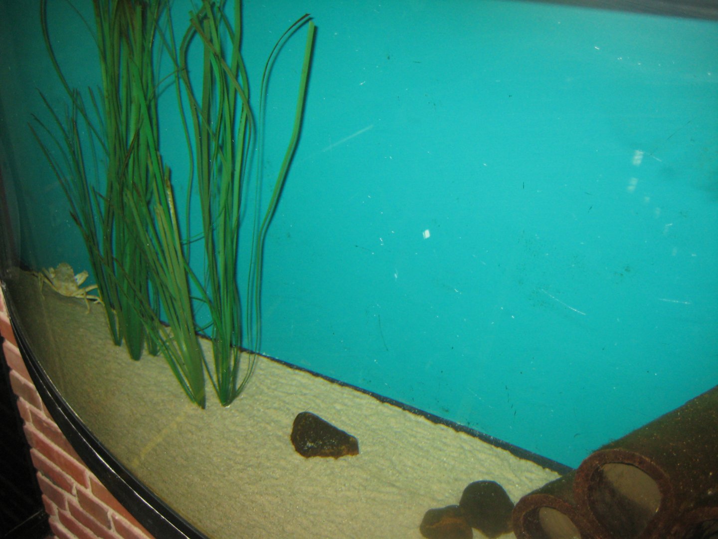 Fiskeri- og Søfartsmuseet - Mixed tank