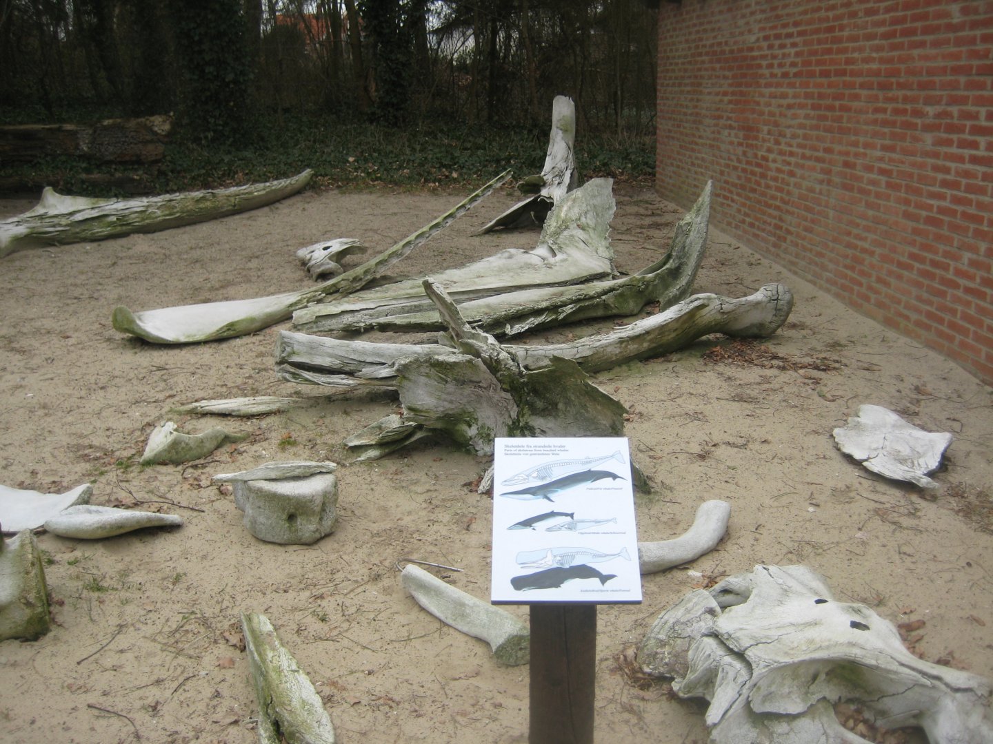 Fiskeri- og Søfartsmuseet - Open-air exhibition