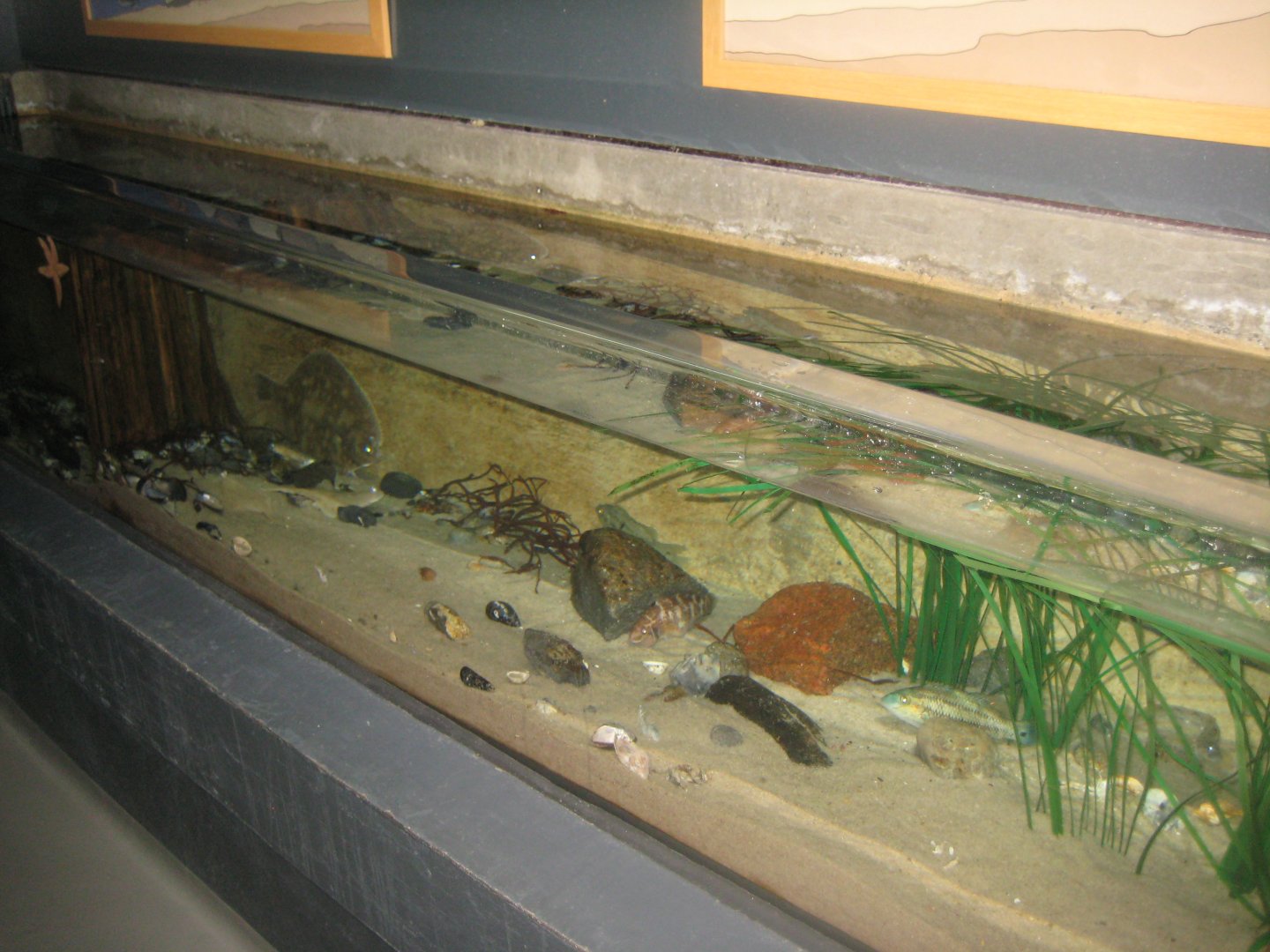 Fiskeri- og Søfartsmuseet - Open coast tank