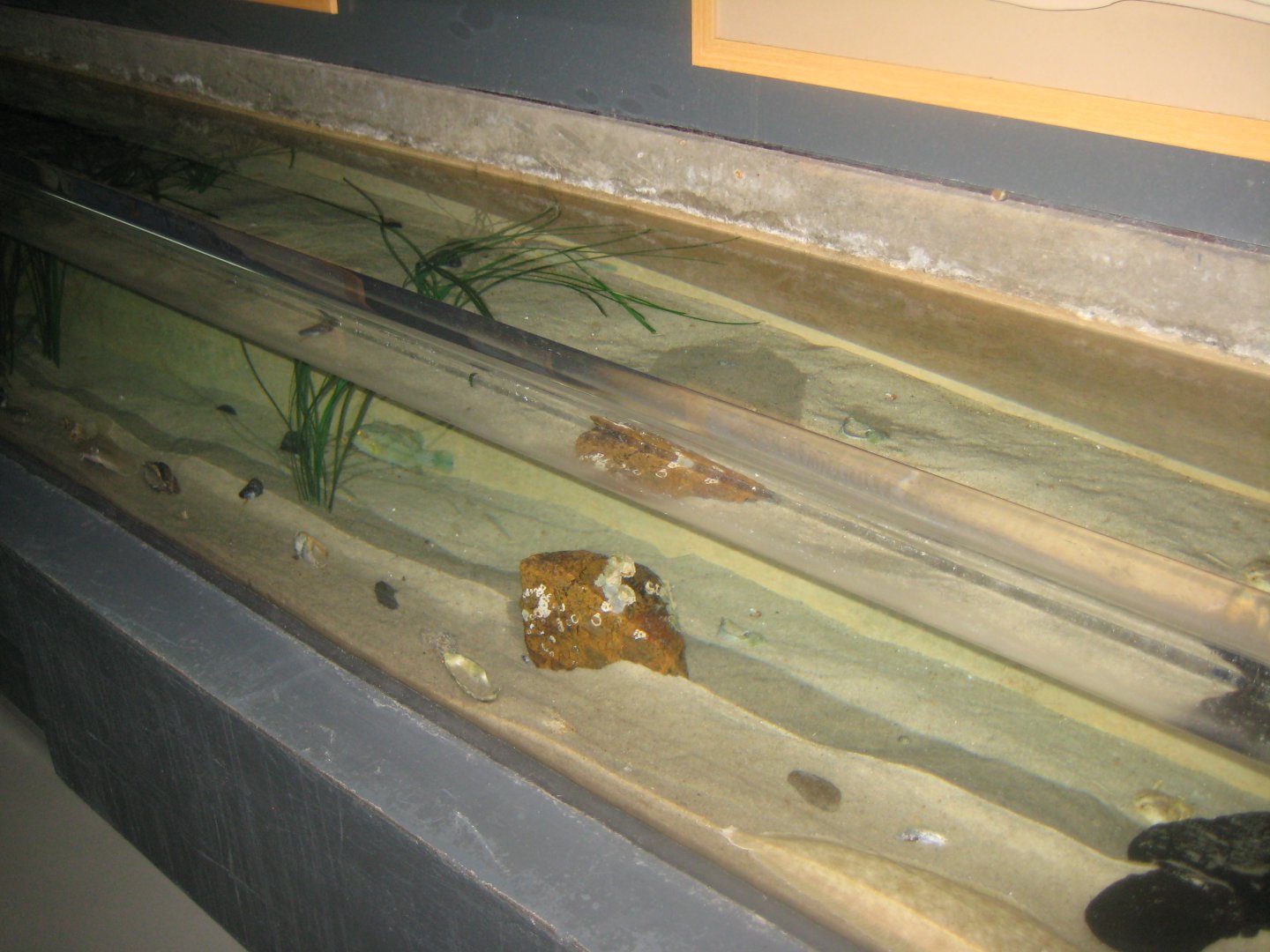 Fiskeri- og Søfartsmuseet - Open coast tank