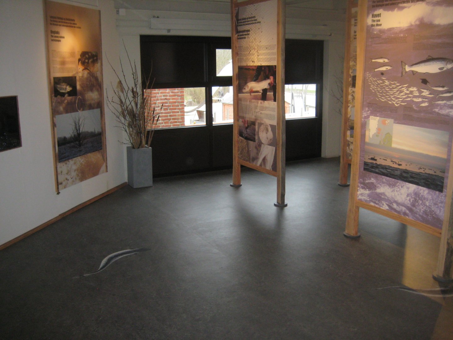 Fiskeri- og Søfartsmuseet - Salmon exhibition