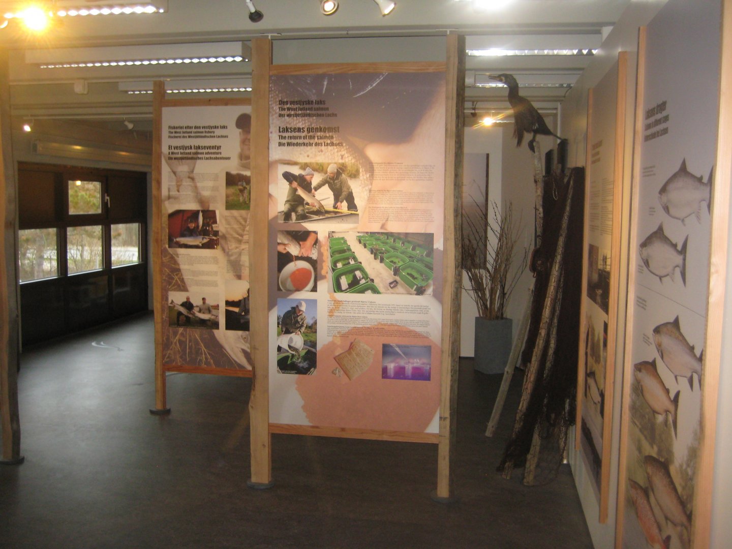 Fiskeri- og Søfartsmuseet - Salmon exhibition