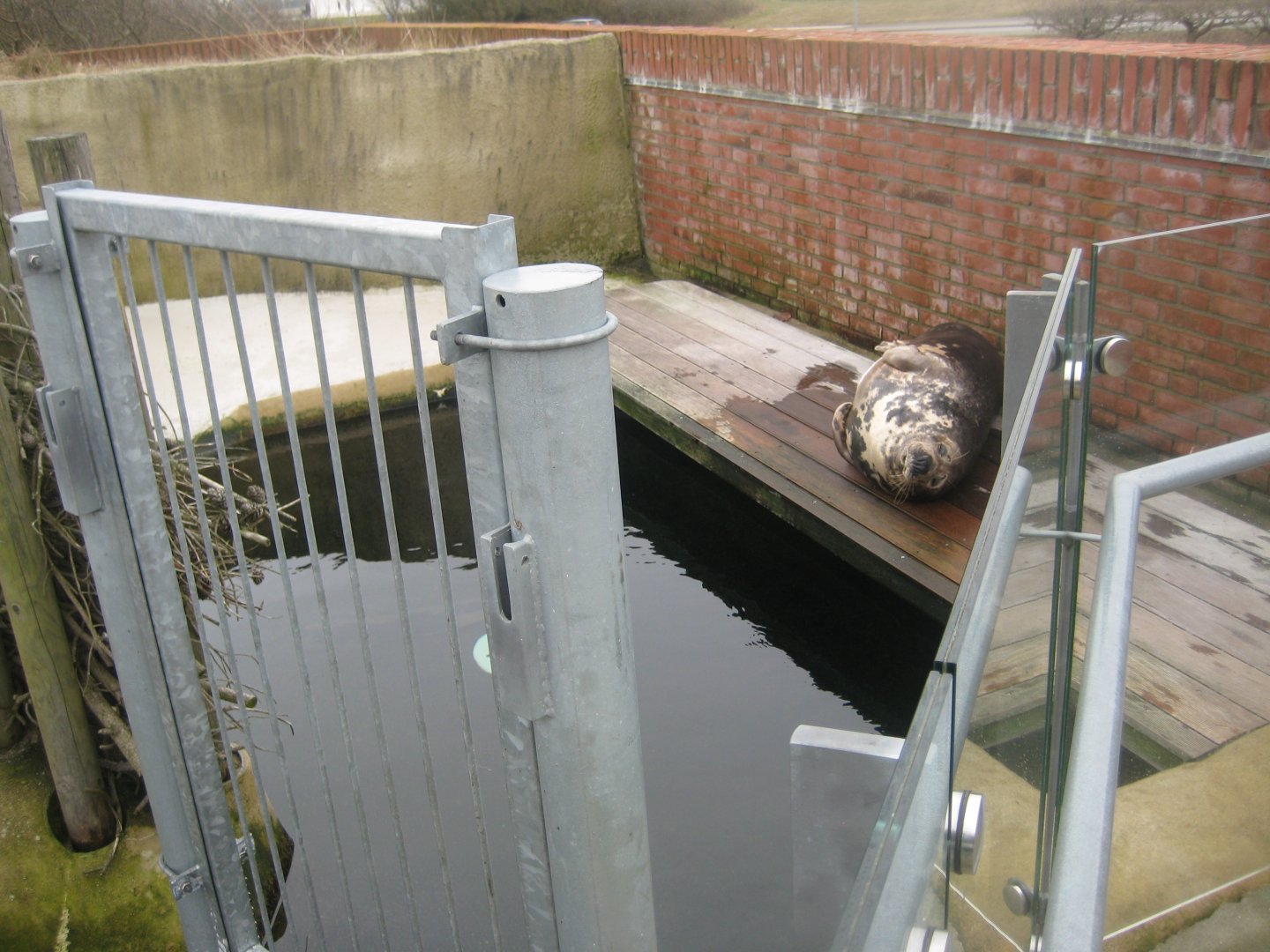 Fiskeri- og Søfartsmuseet - Sealarium - Secondary pool/enclosure