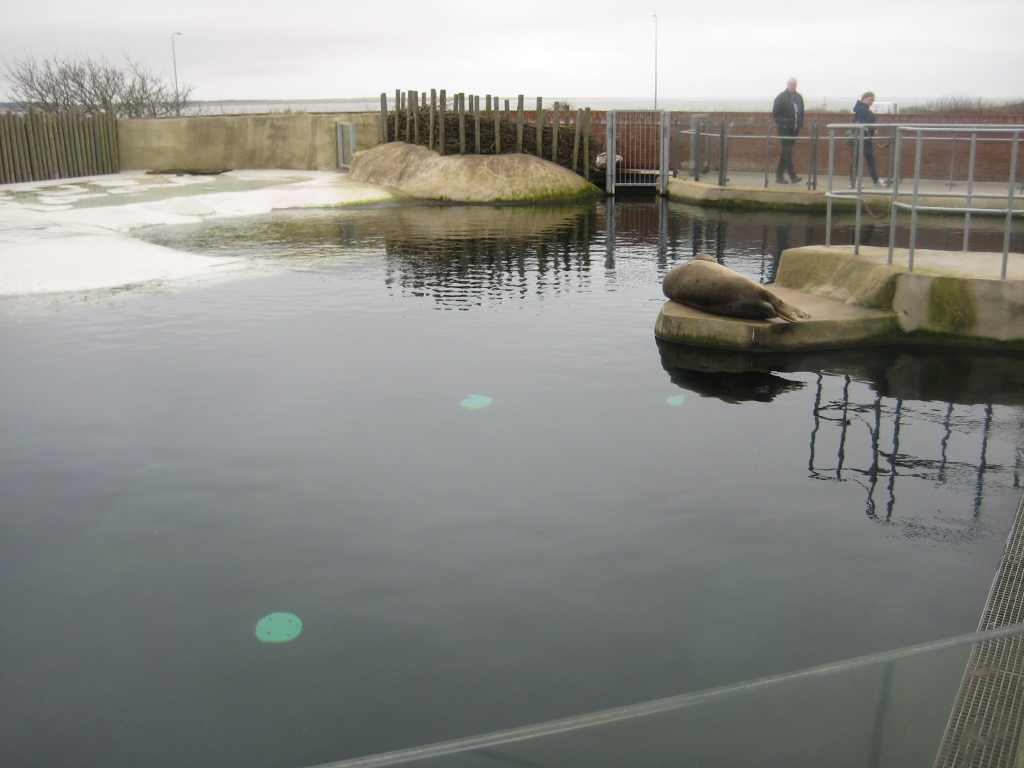 Fiskeri- og Søfartsmuseet - Sealarium