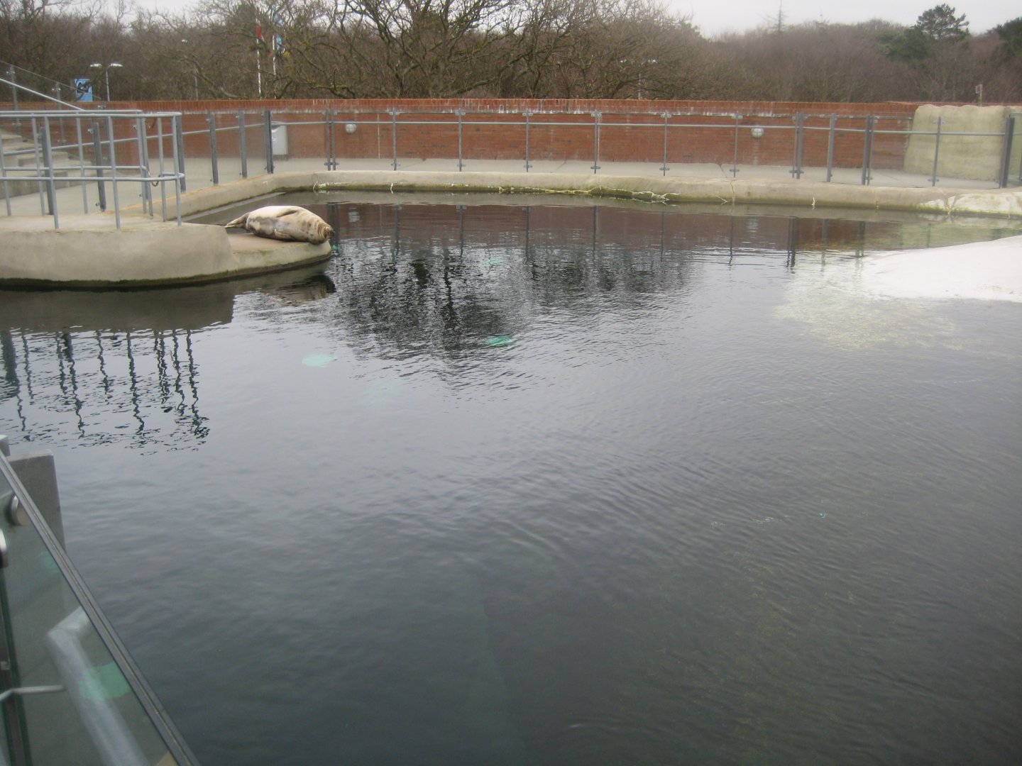 Fiskeri- og Søfartsmuseet - Sealarium