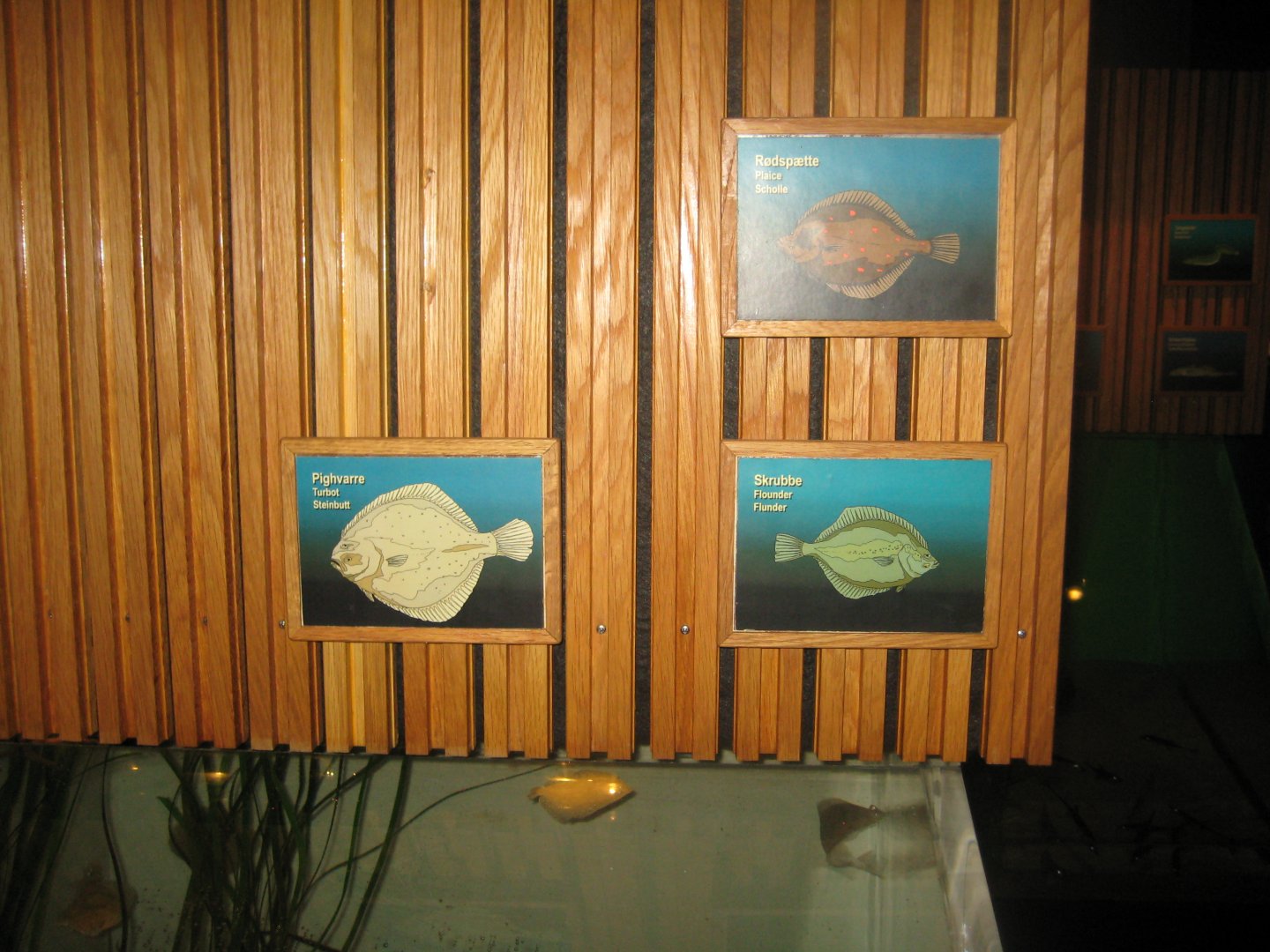 Fiskeri- og Søfartsmuseet - Signage example