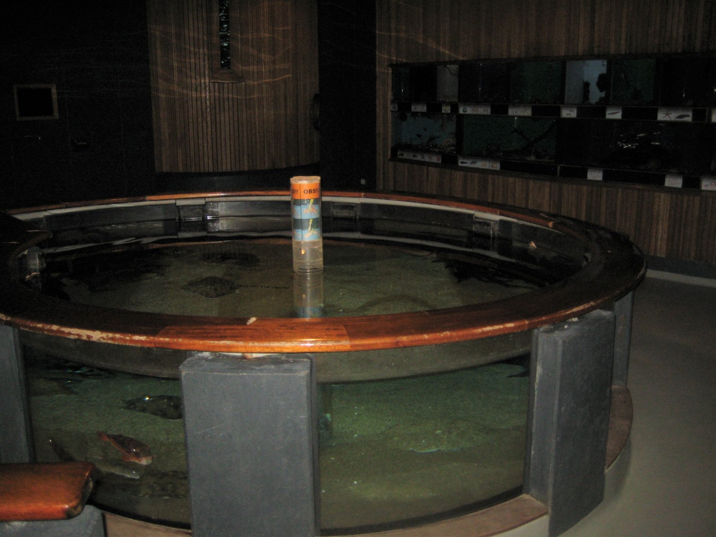 Fiskeri- og Søfartsmuseet - Touch pool and invertebrate tanks