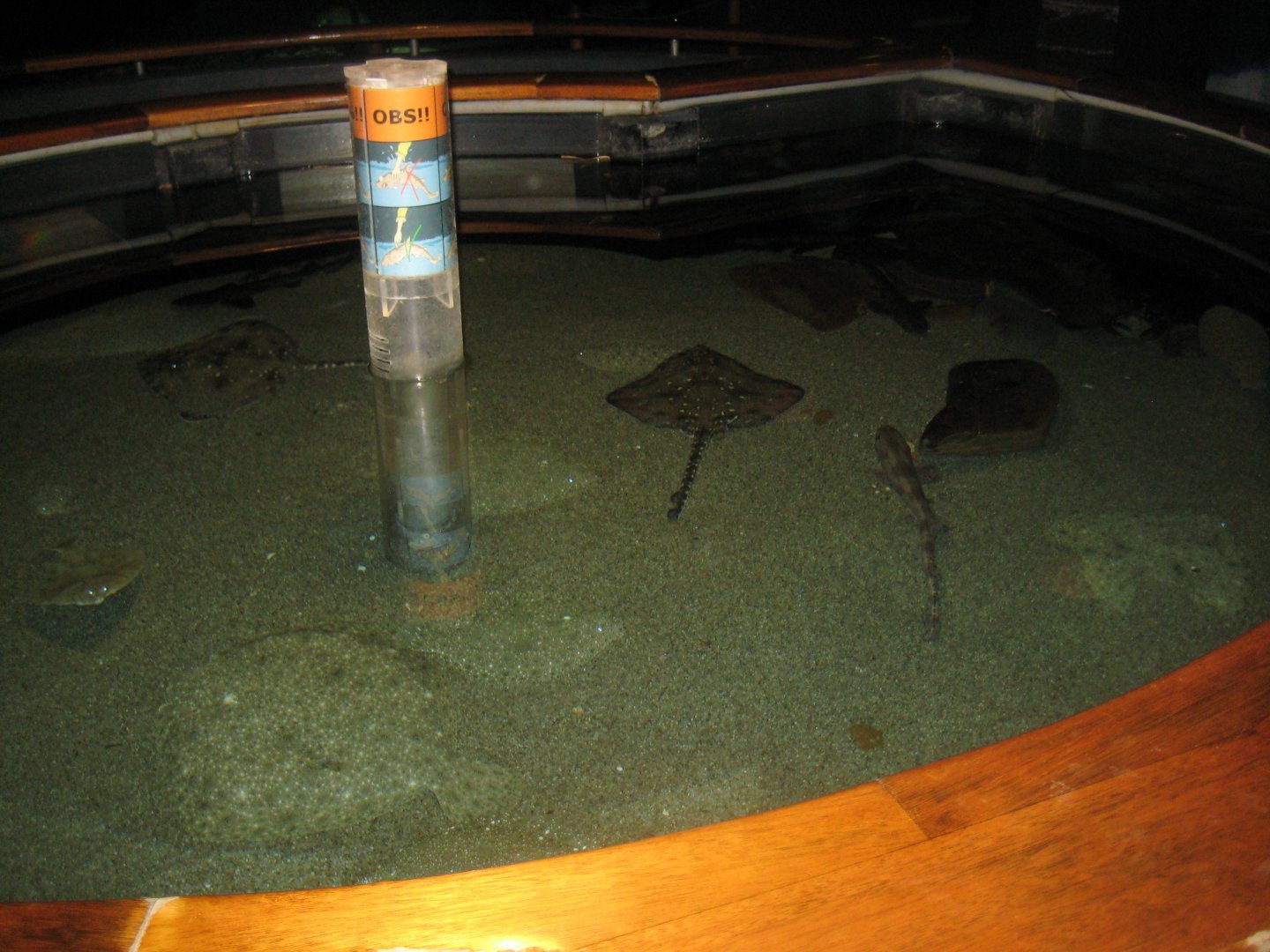 Fiskeri- og Søfartsmuseet - Touch pool