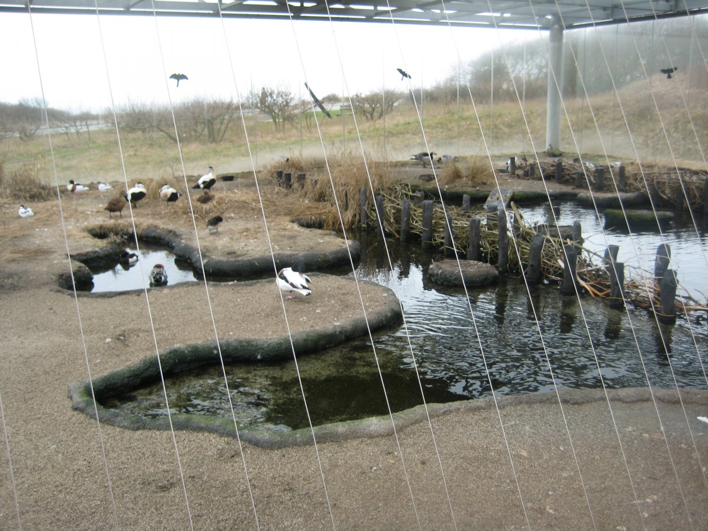 Fiskeri- og Søfartsmuseet - Wadden Sea Pavilion - Aviary