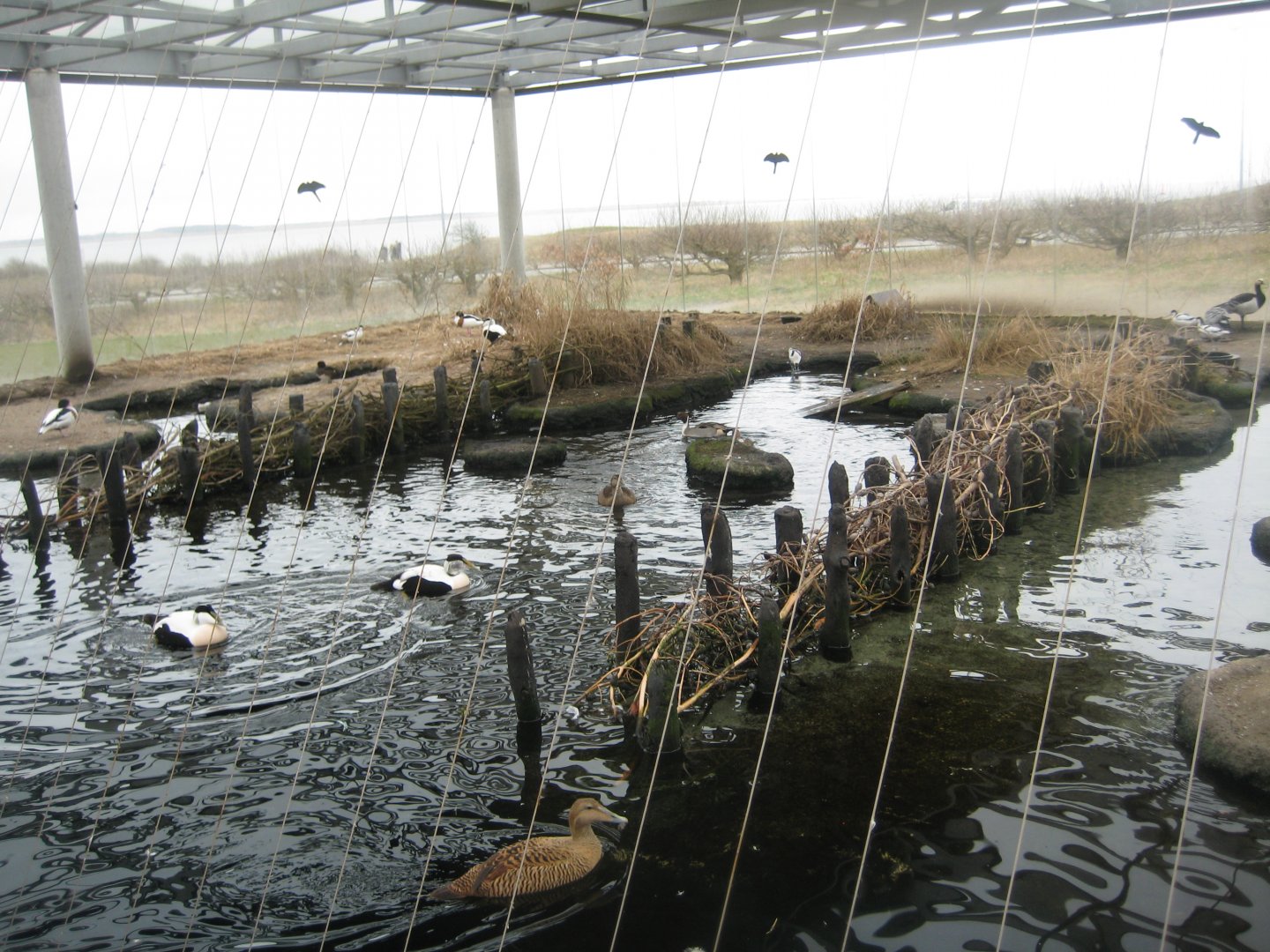 Fiskeri- og Søfartsmuseet - Wadden Sea Pavilion - Aviary