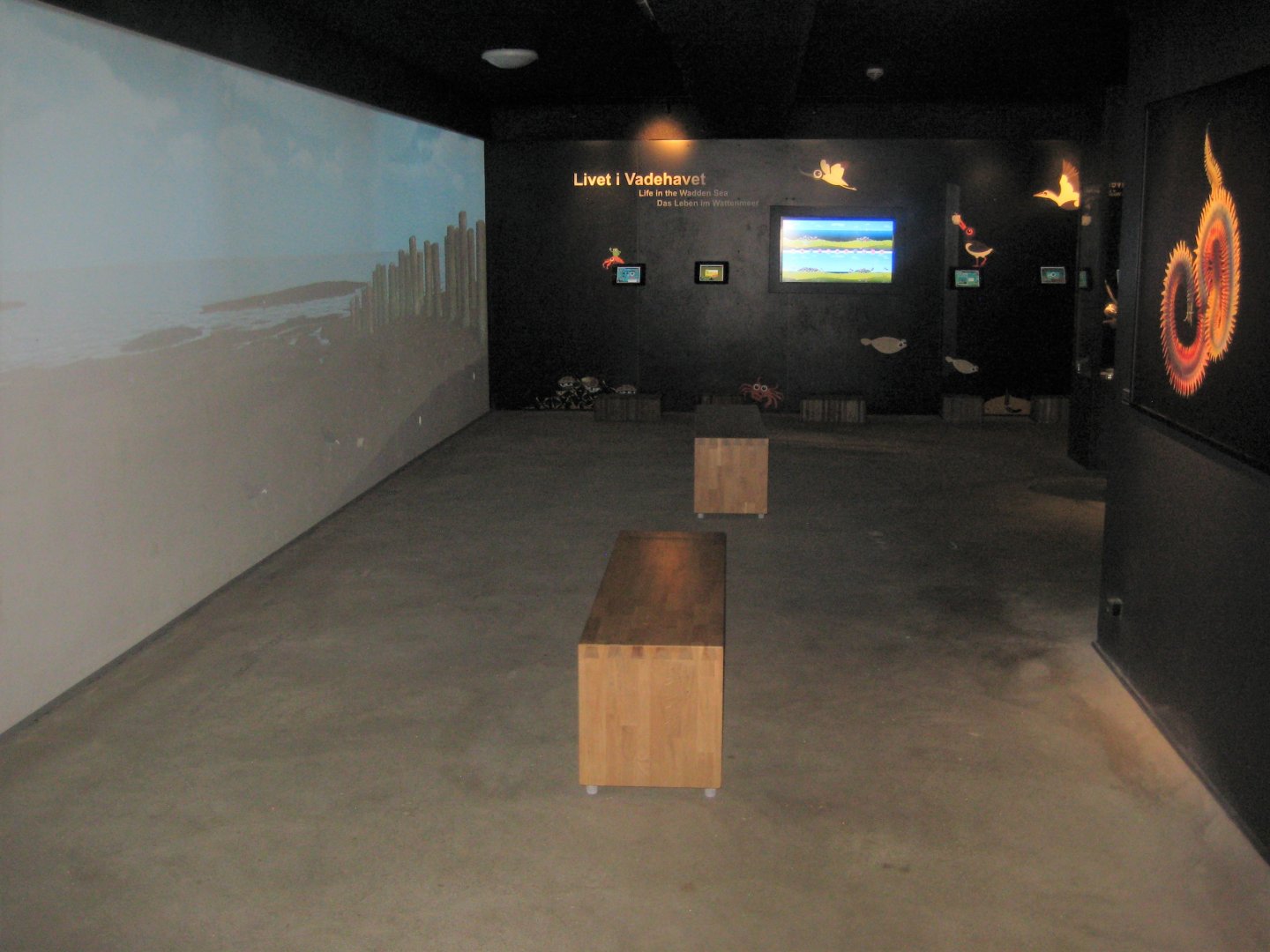 Fiskeri- og Søfartsmuseet - Wadden Sea Pavilion