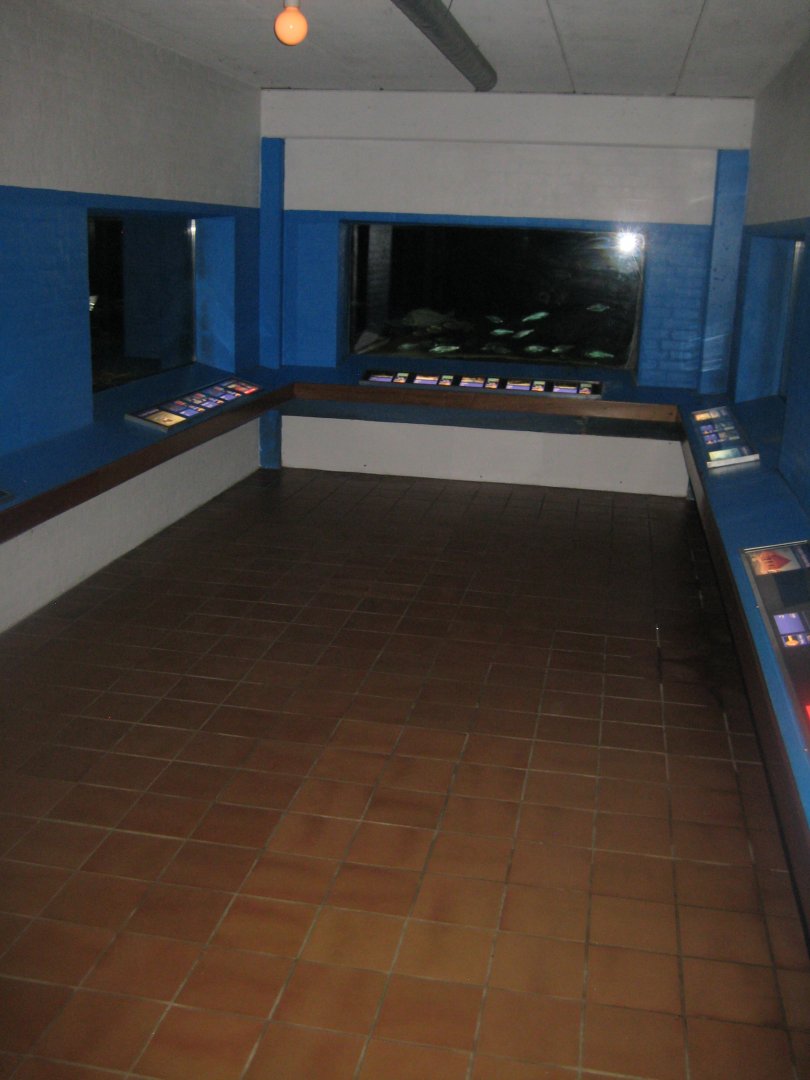 Fiskeriets Hus - General view of aquarium part