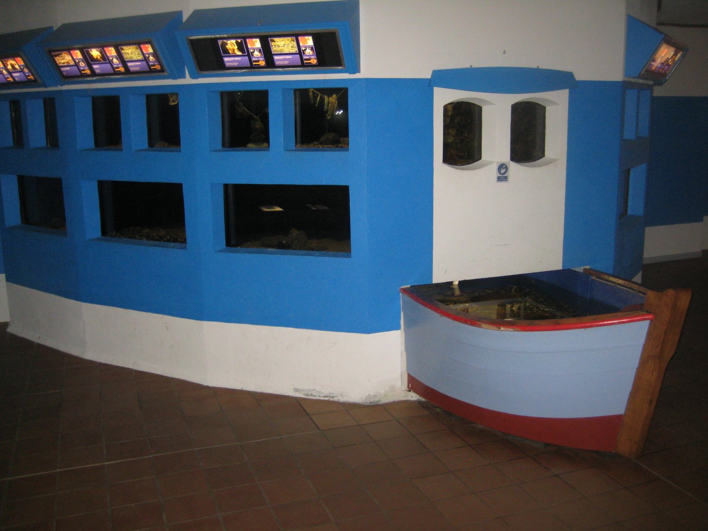 Fiskeriets Hus - Invertebrate tanks and touch pool