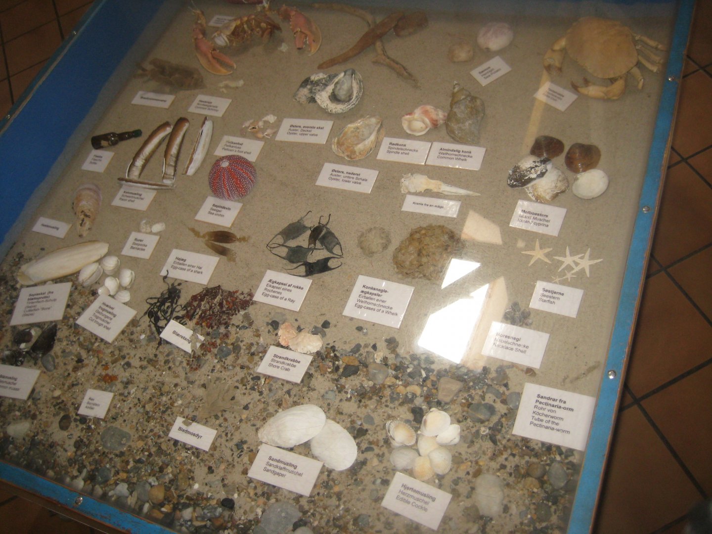 Fiskeriets Hus - Museum part