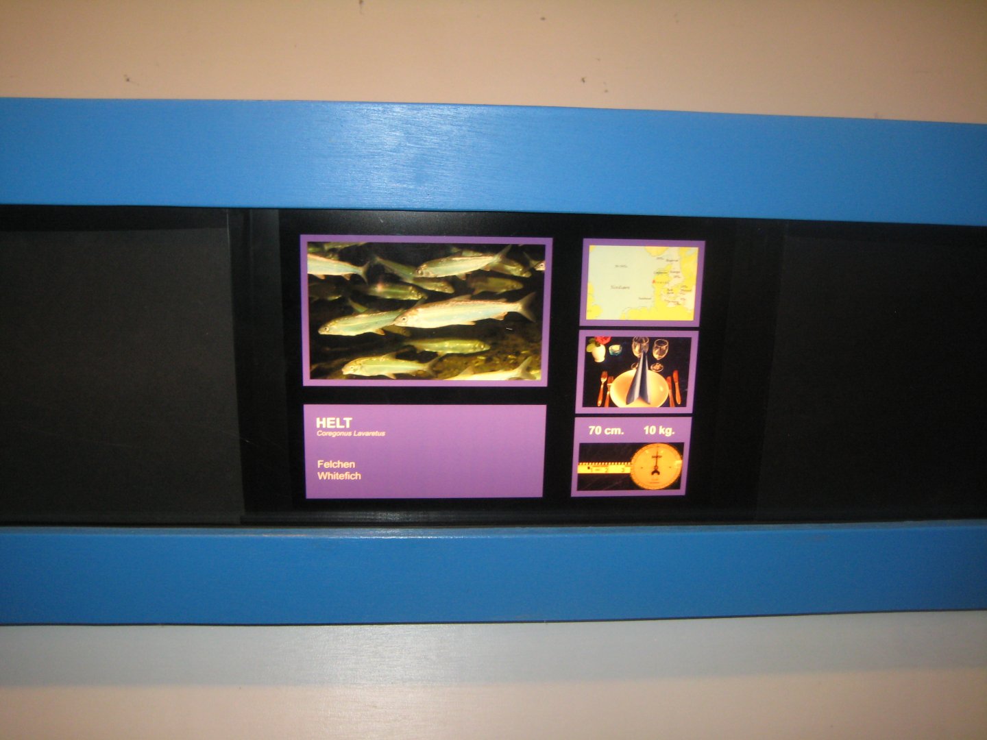 Fiskeriets Hus - Signage example