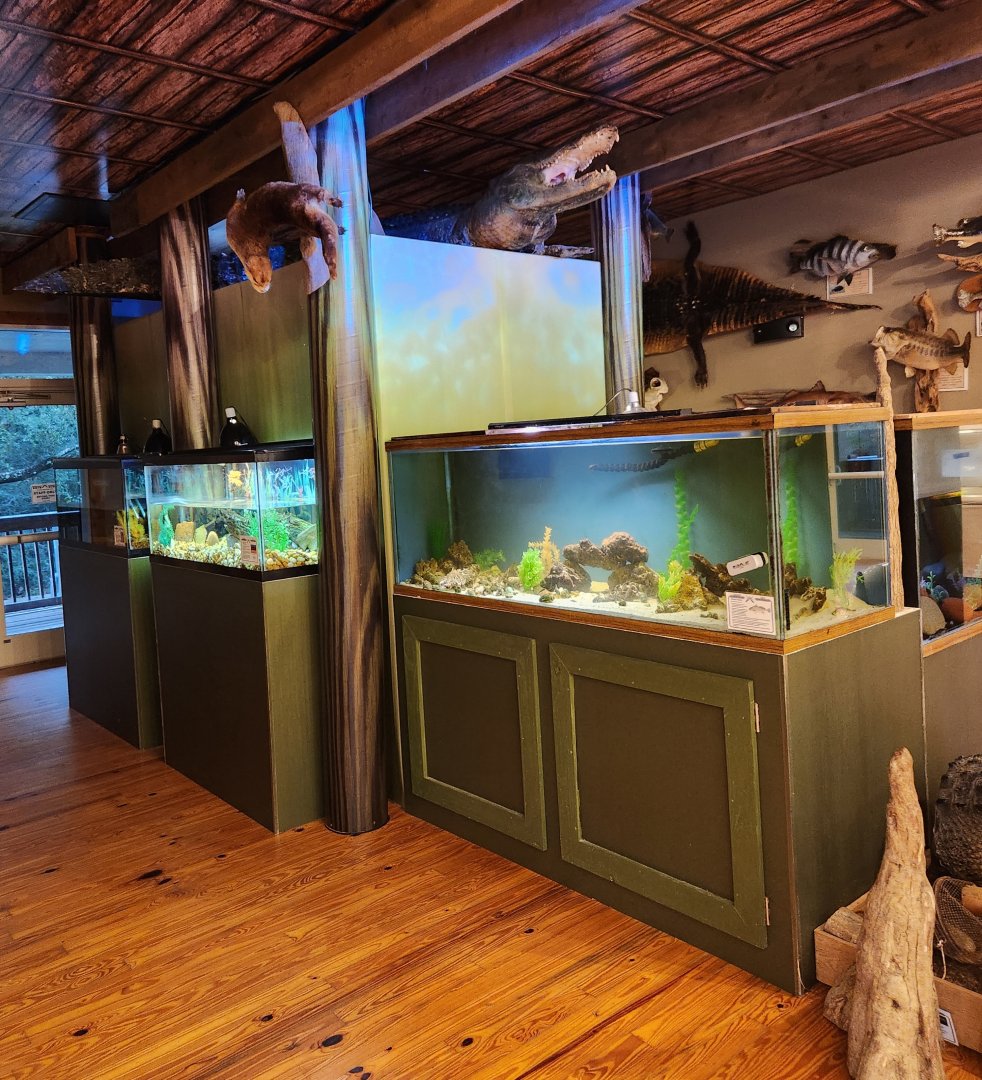 Five Rivers Delta Center (AL) - Aquatic exhibits