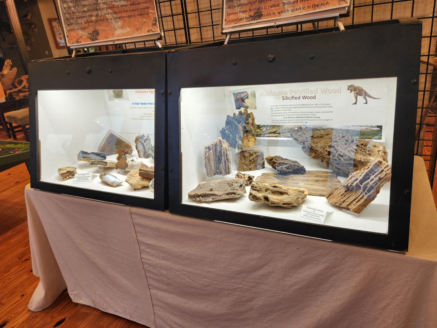 Five Rivers Delta Center (AL) - Geology displays