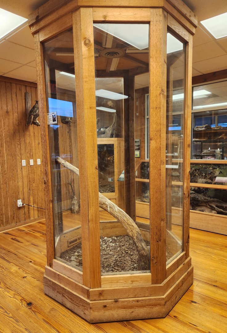 Five Rivers Delta Center (AL) - Great Horned Owl exhibit