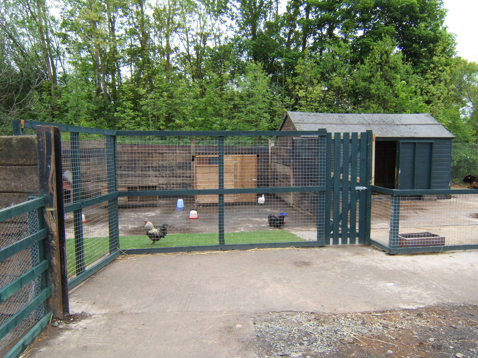 Five Sisters Zoo Park