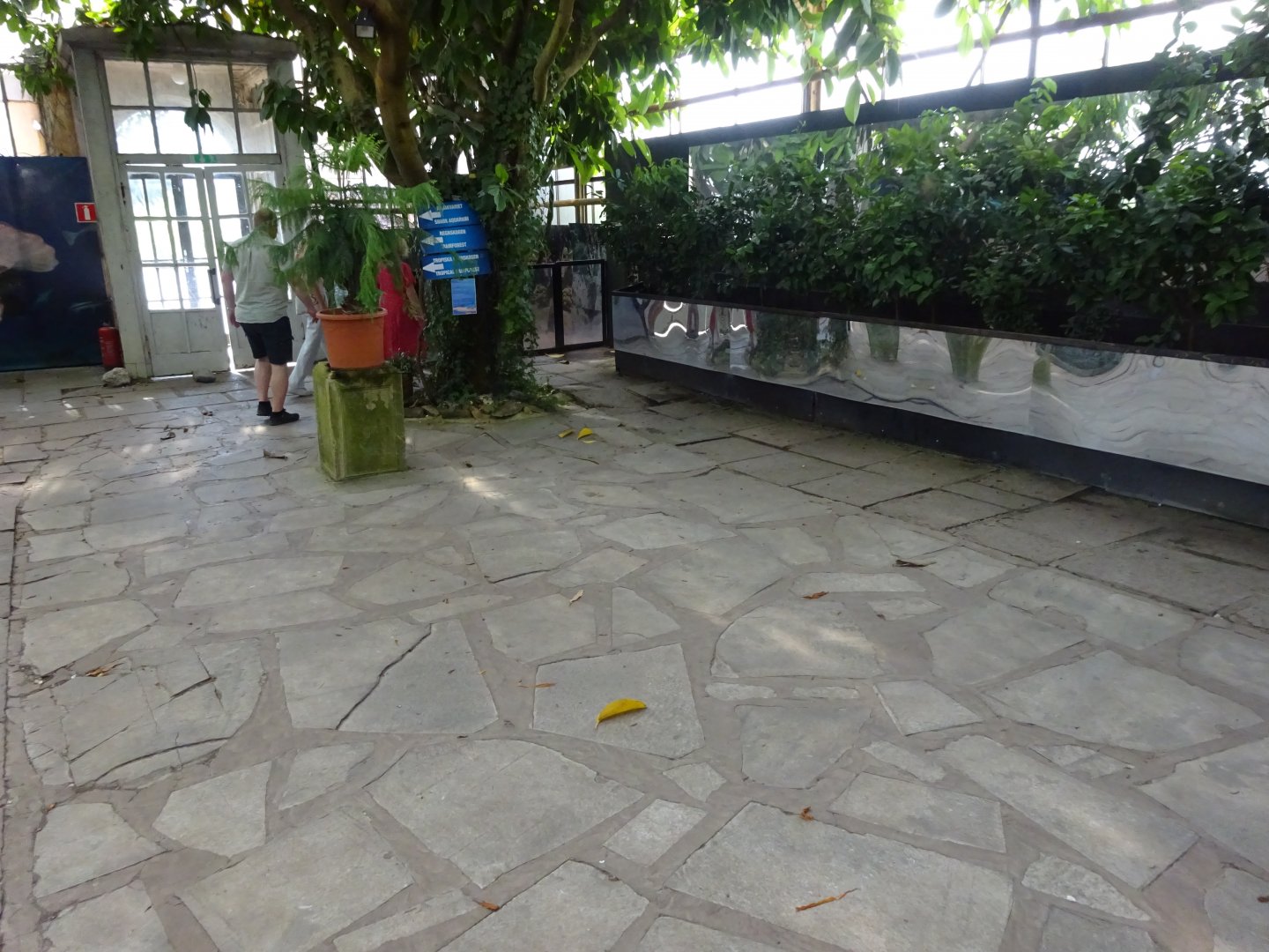 Fjärilshuset - Entrance hall