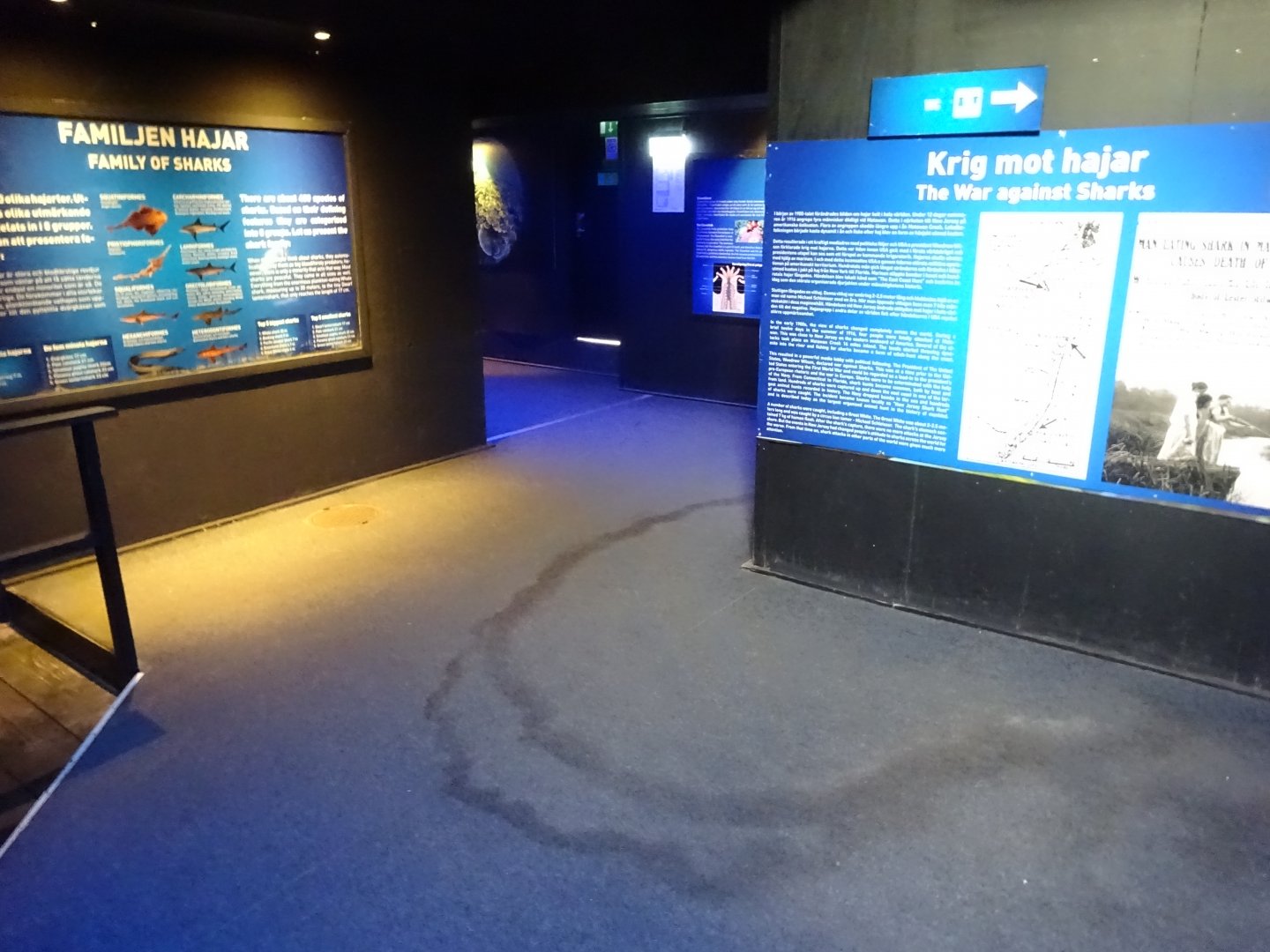 Fjärilshuset - Haga Ocean - Part of shark exhibition