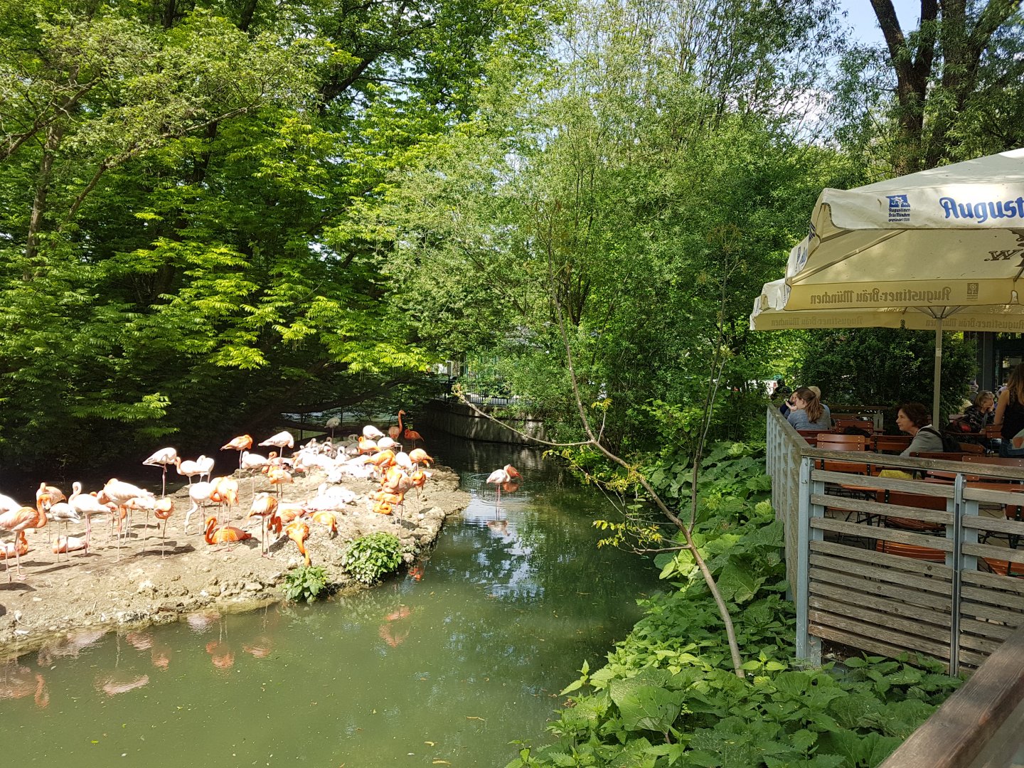 Flamigo Island with a View Poit